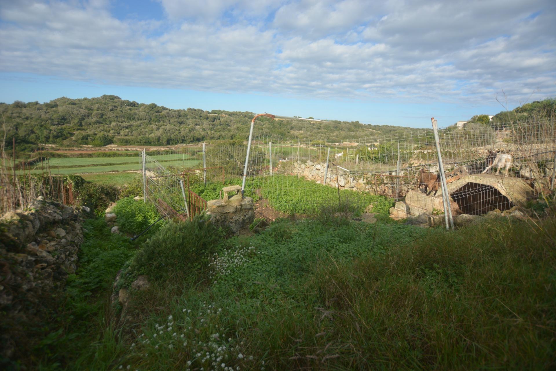 Fincas y solares-Venta-Es Migjorn Gran-2009897-Foto-6