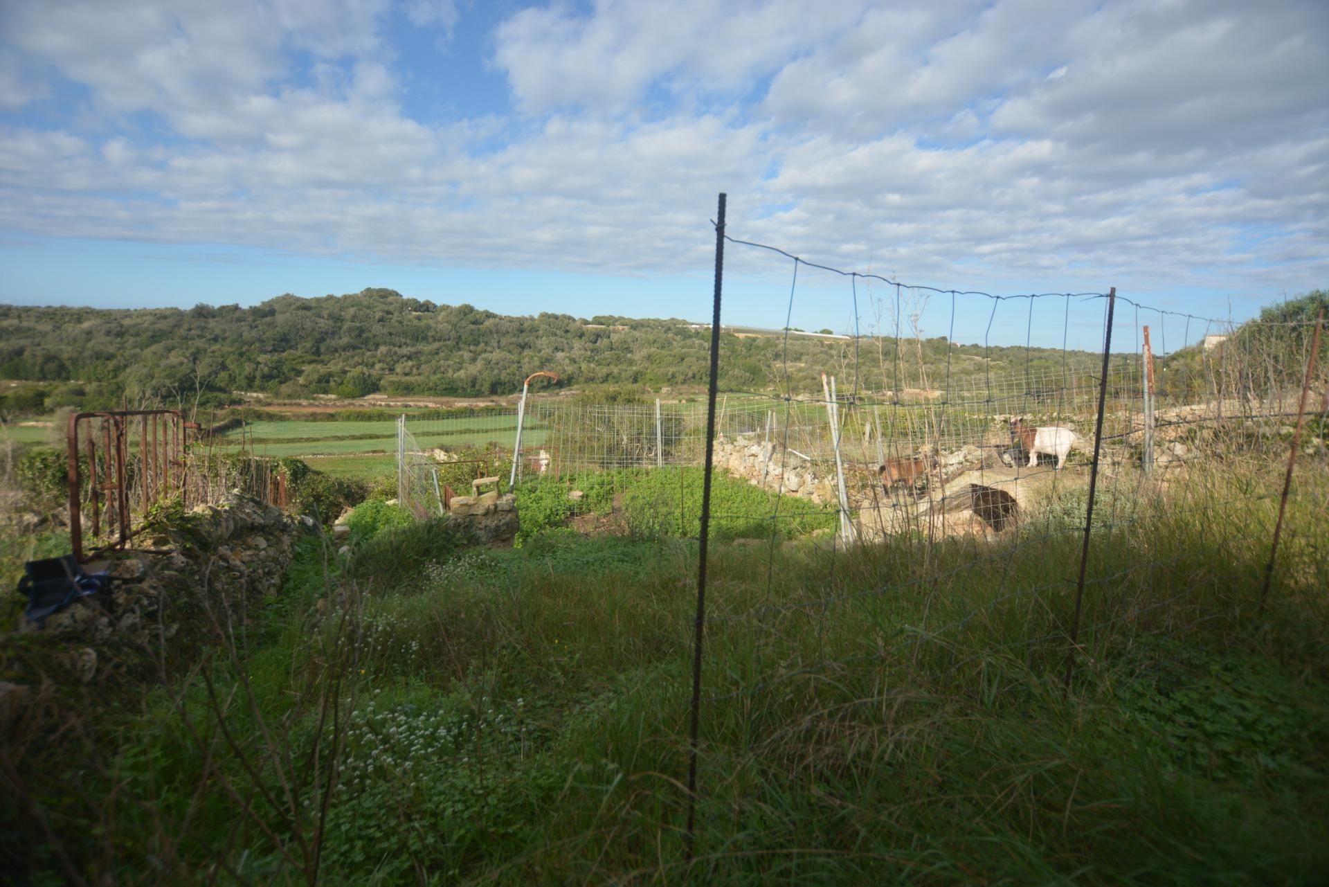 Fincas y solares-Venta-Es Migjorn Gran-2009897-Foto-8