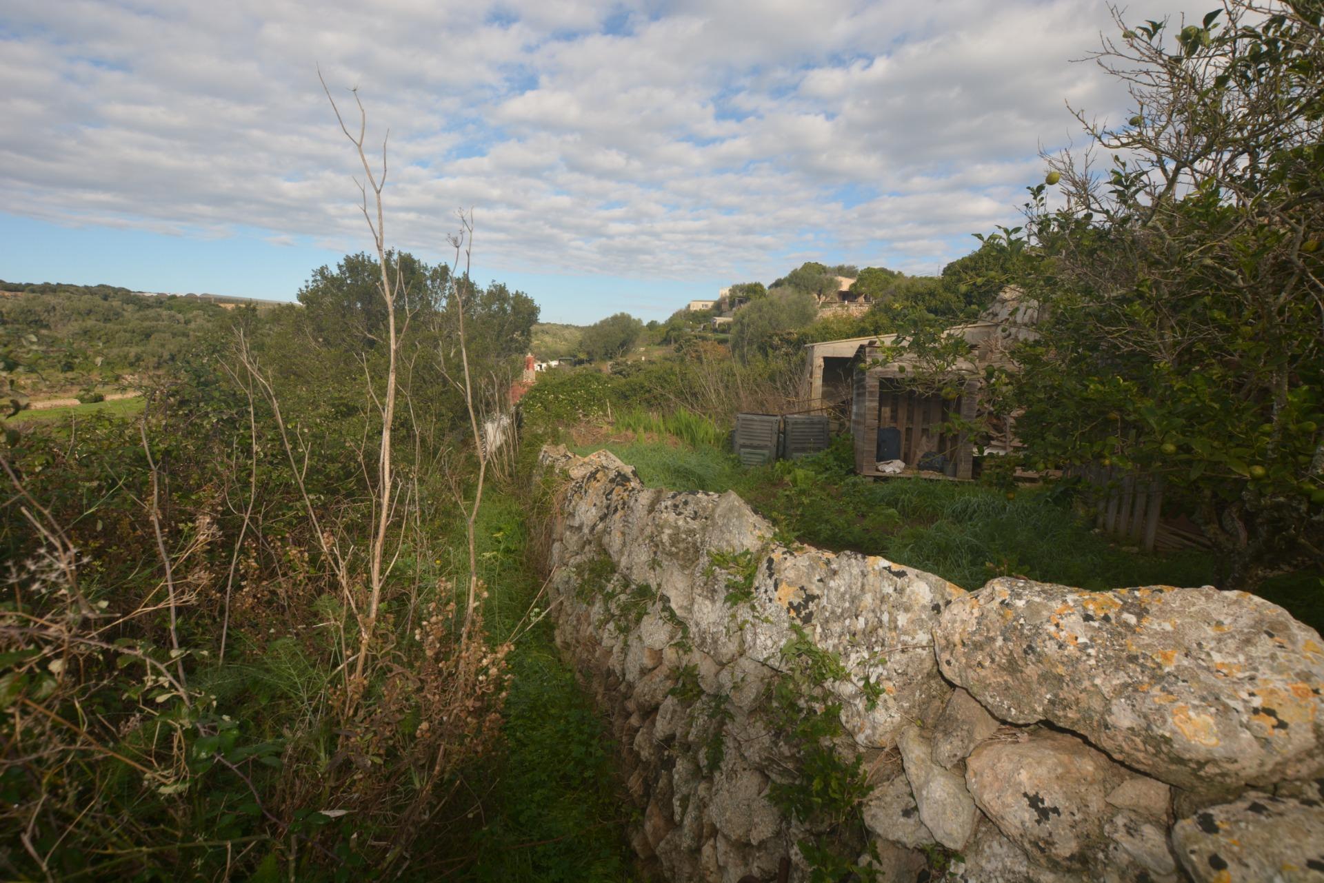 Fincas y solares-Venta-Es Migjorn Gran-2009897-Foto-9