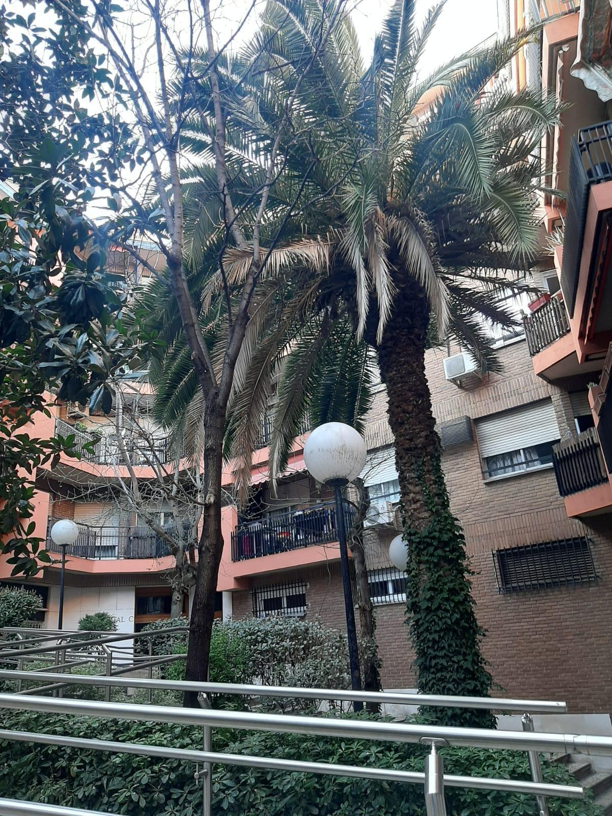 Pisos-Venta-Madrid-2150849-Foto-4