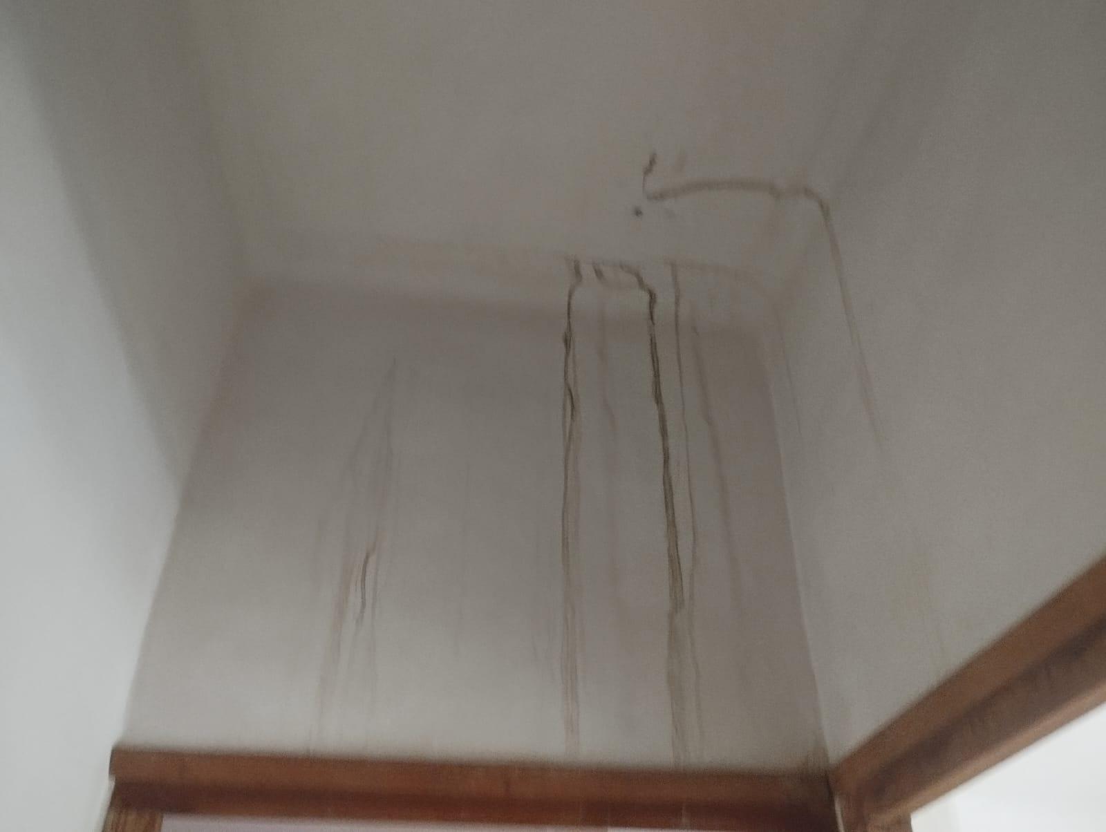 Pisos-Venta-Abanilla-1435230-Foto-32