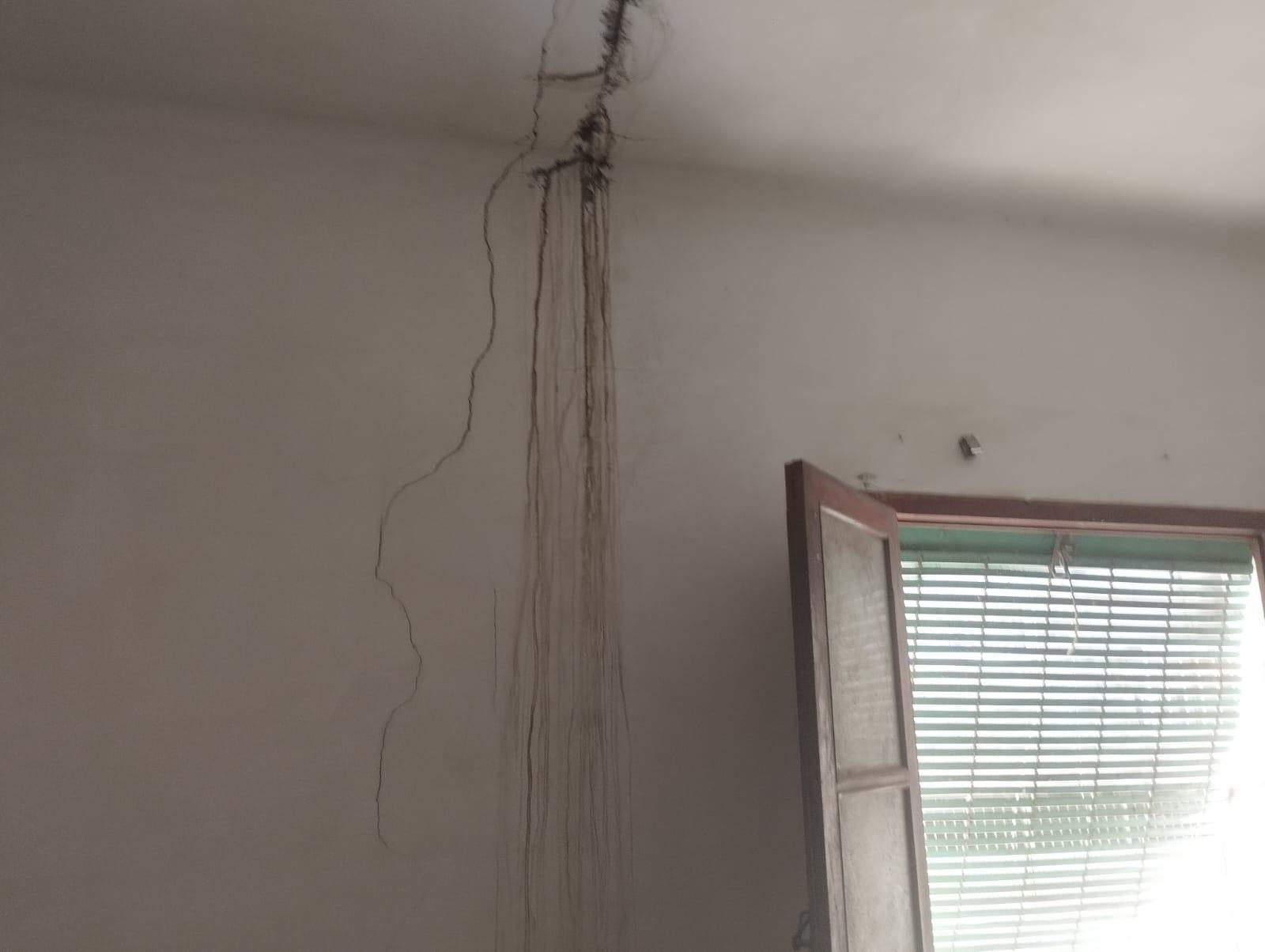 Pisos-Venta-Abanilla-1435230-Foto-36