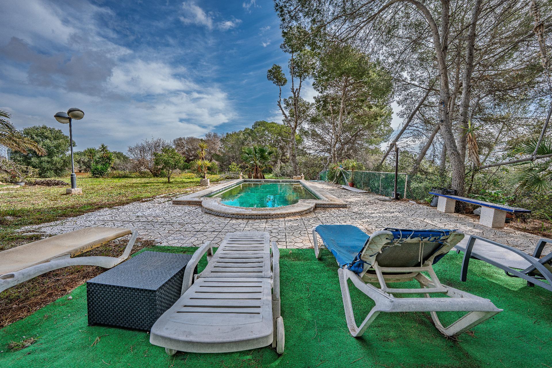 Casas o chalets-Venta-Orihuela-2150816-Foto-4