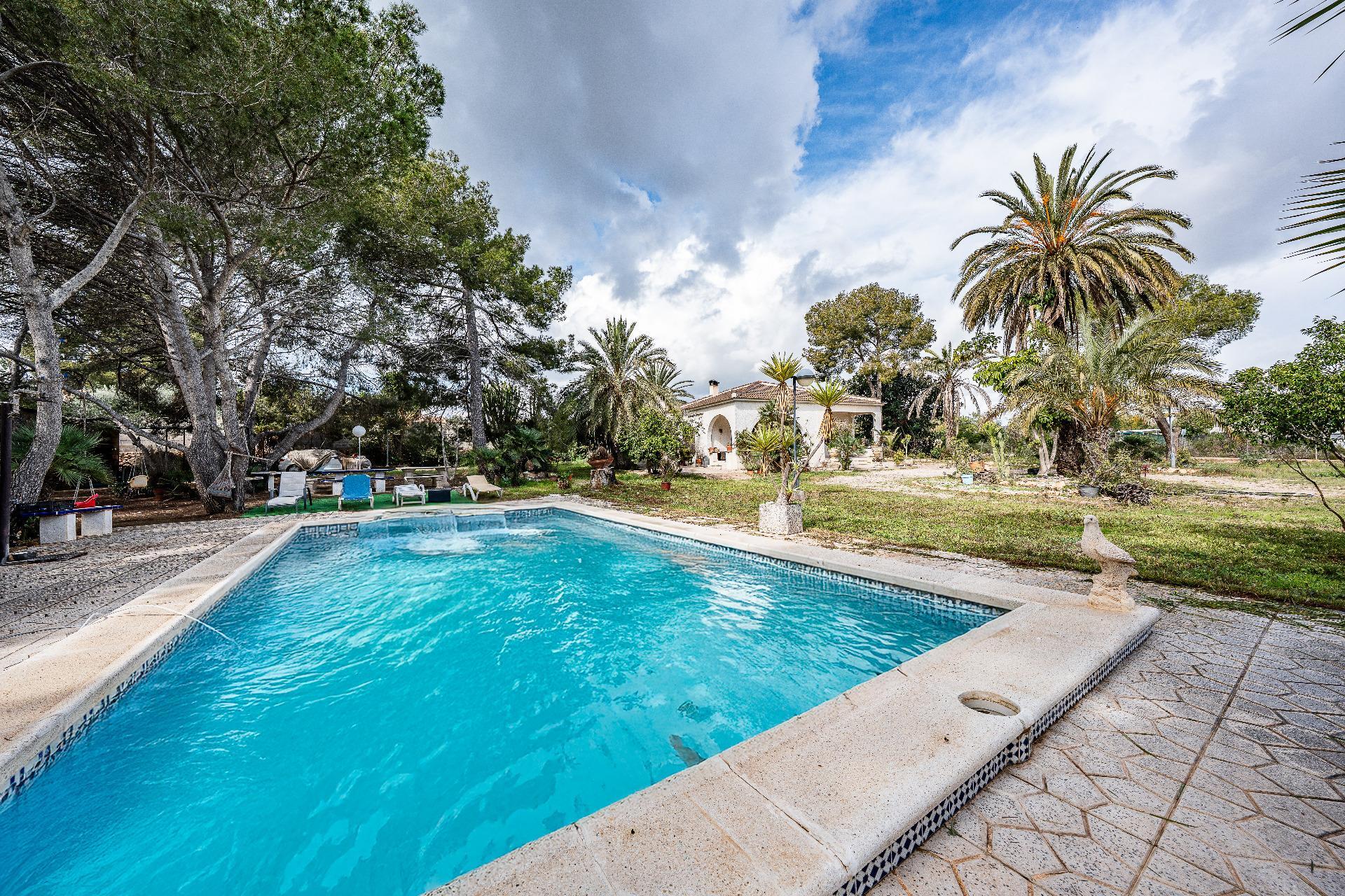 Casas o chalets-Venta-Orihuela-2150816-Foto-7