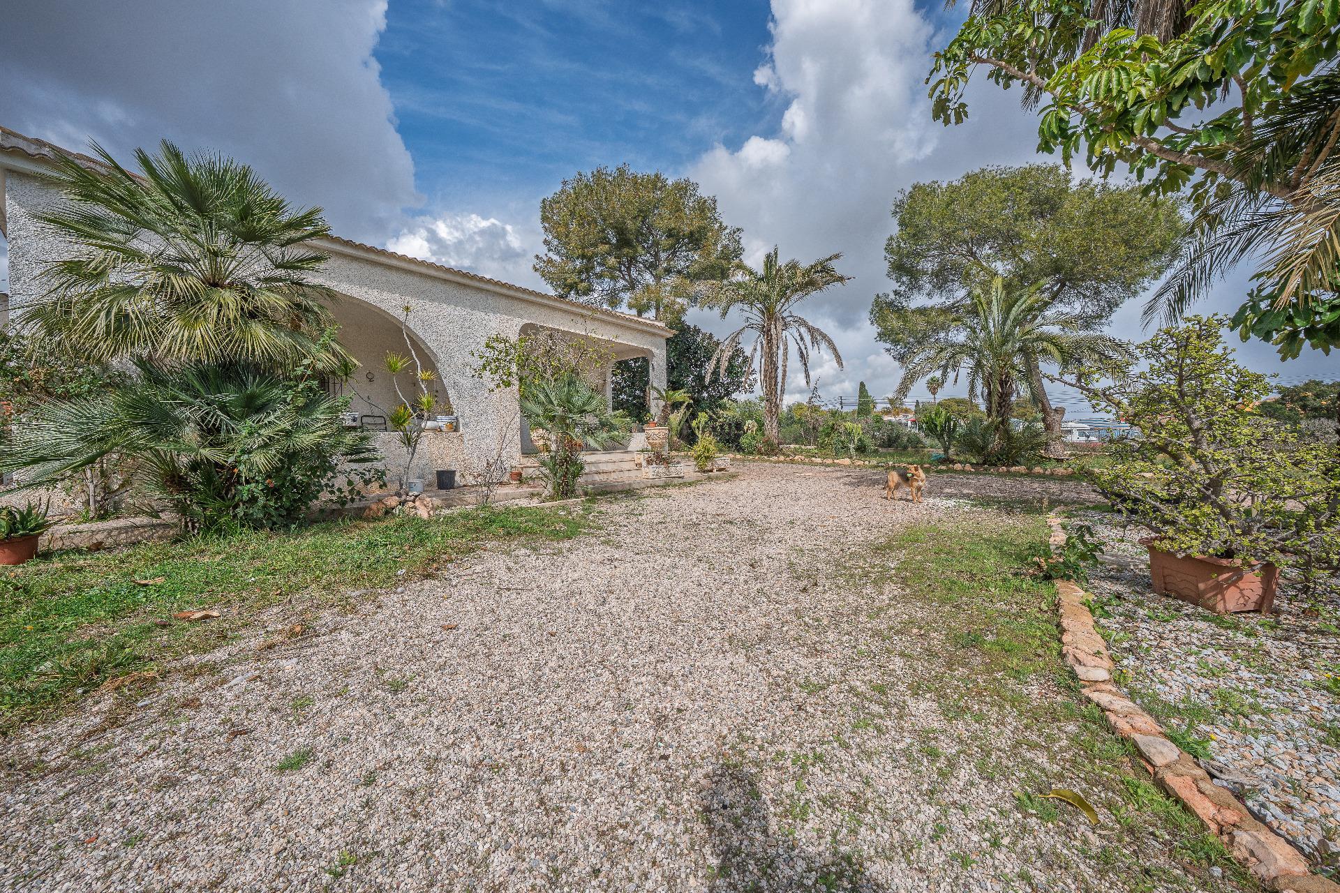 Casas o chalets-Venta-Orihuela-2150816-Foto-21