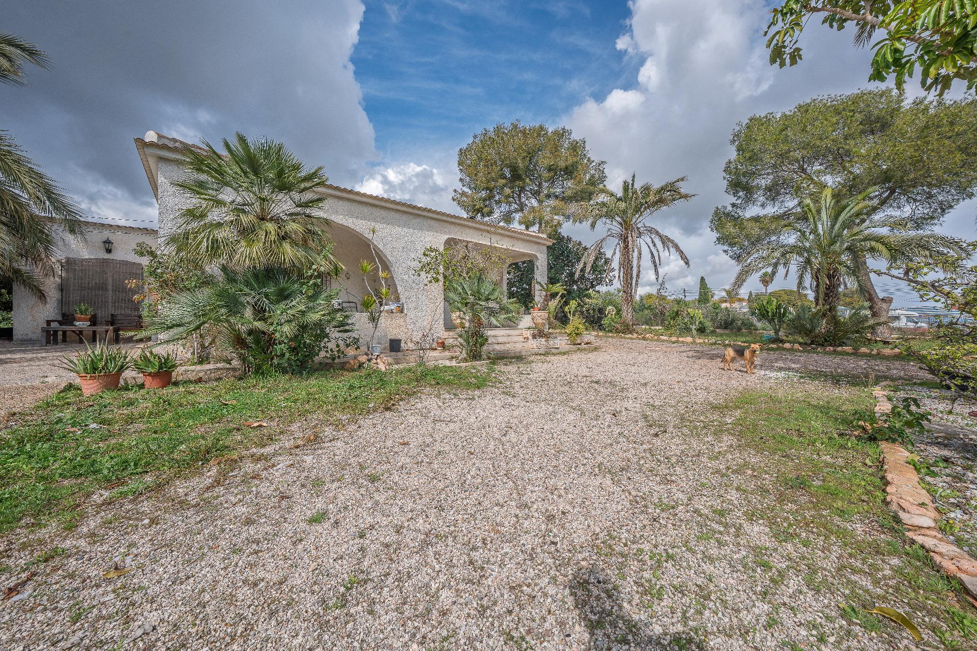 Casas o chalets-Venta-Orihuela-2150816-Foto-22