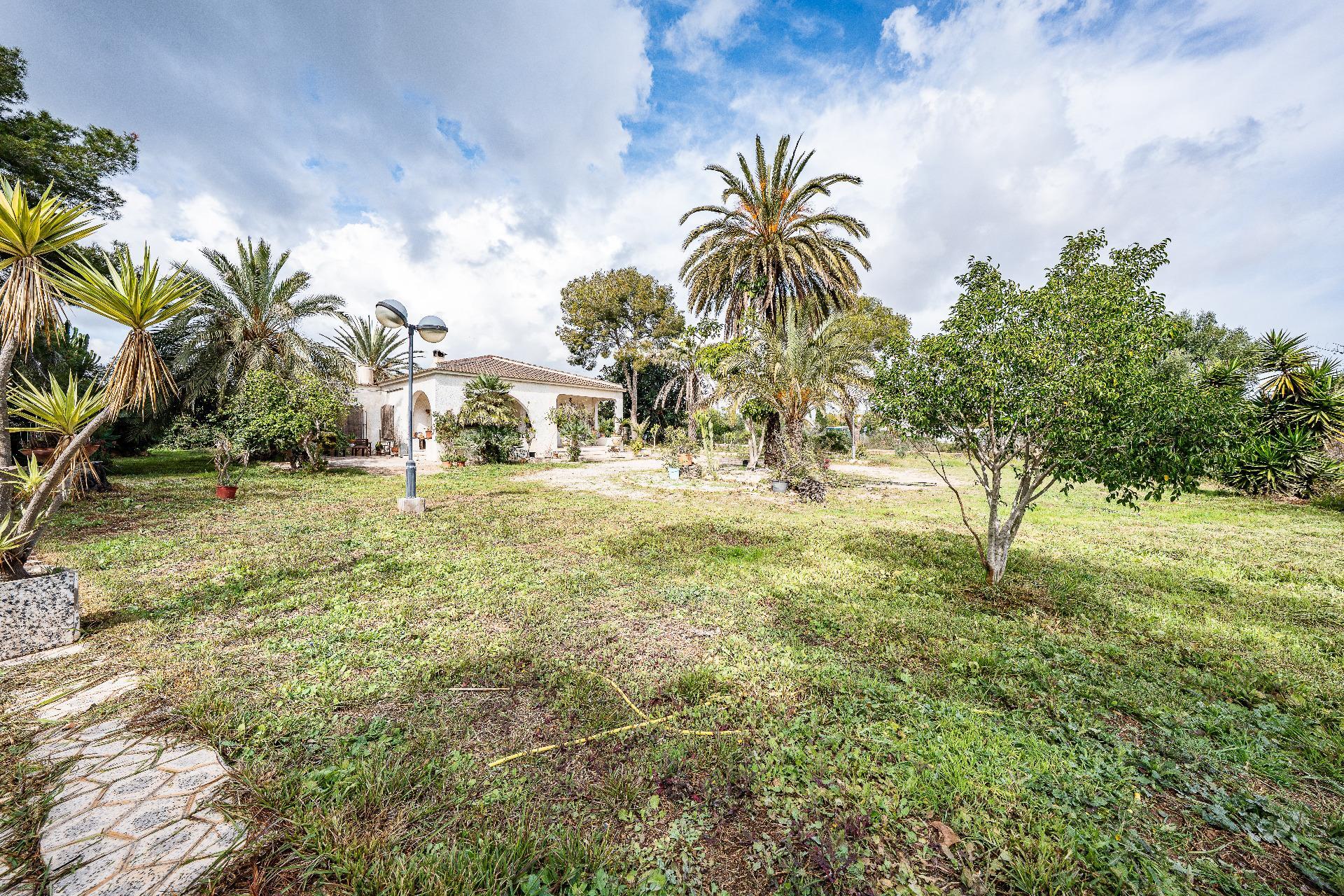 Casas o chalets-Venta-Orihuela-2150816-Foto-30