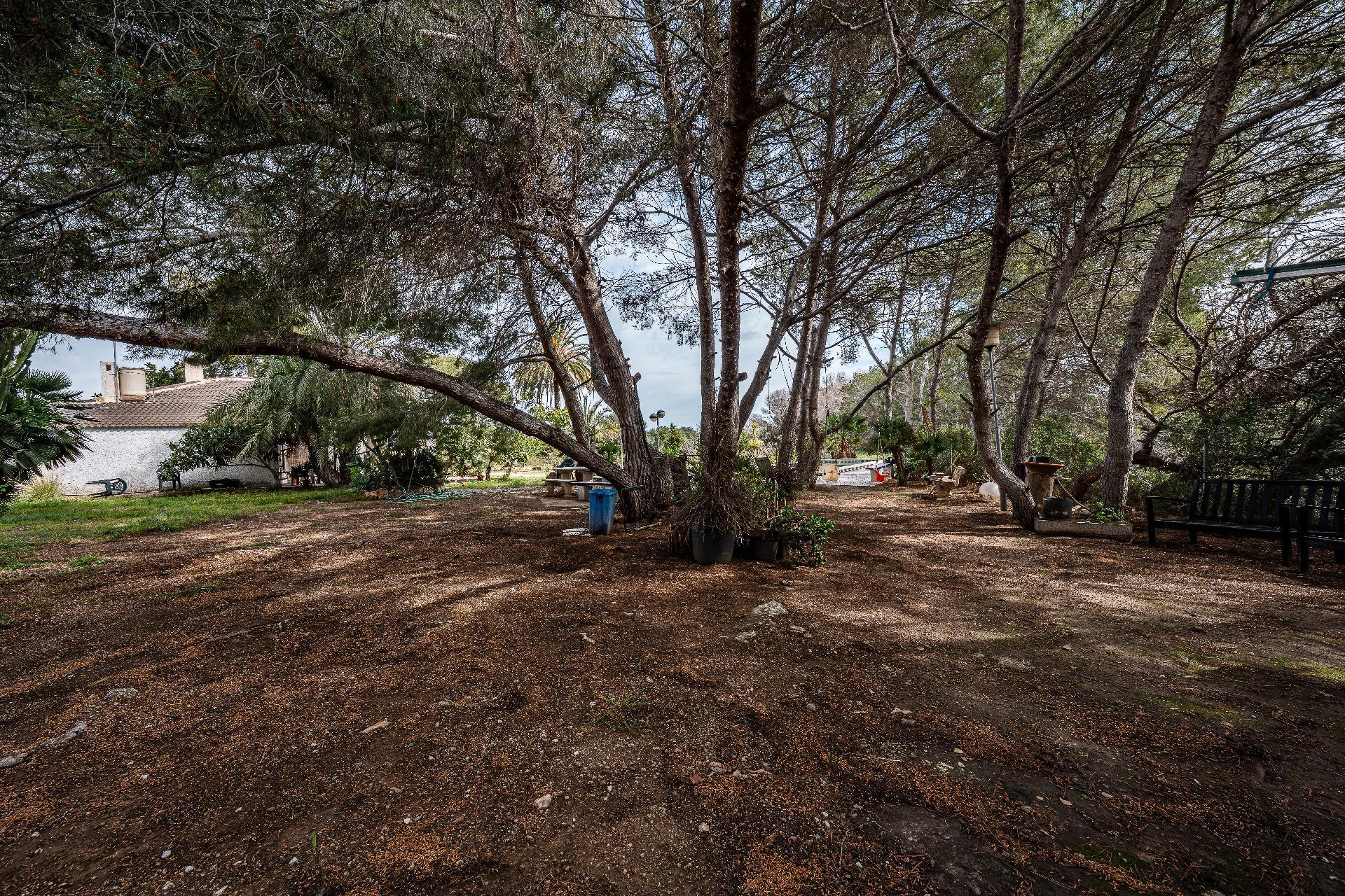 Casas o chalets-Venta-Orihuela-2150816-Foto-26