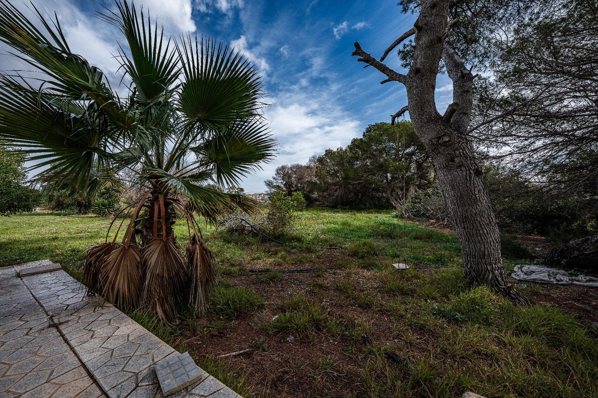 Casas o chalets-Venta-Orihuela-2150816-Foto-28