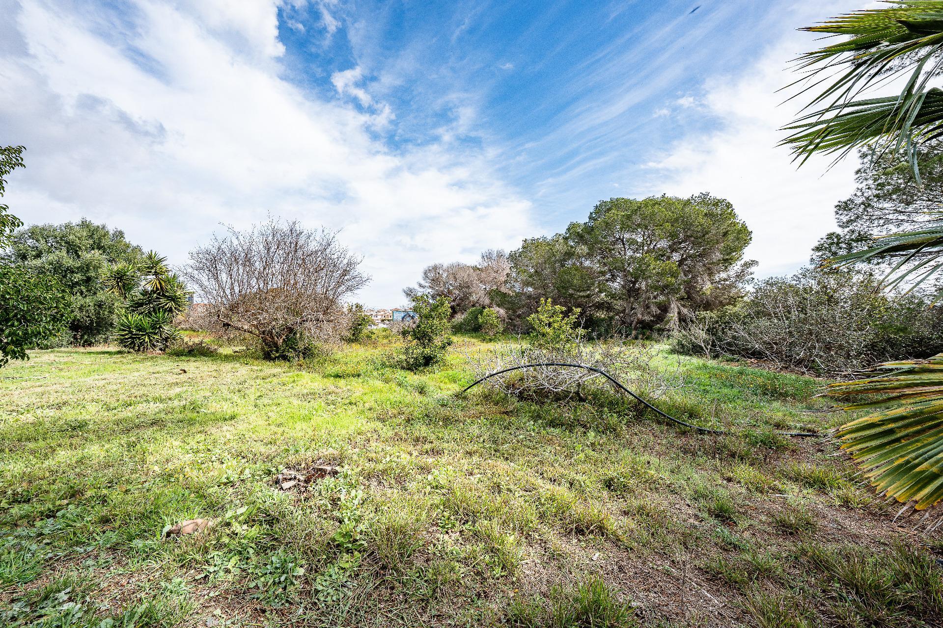 Casas o chalets-Venta-Orihuela-2150816-Foto-29