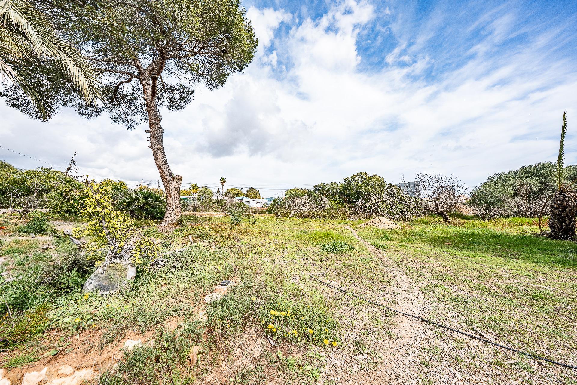 Casas o chalets-Venta-Orihuela-2150816-Foto-31