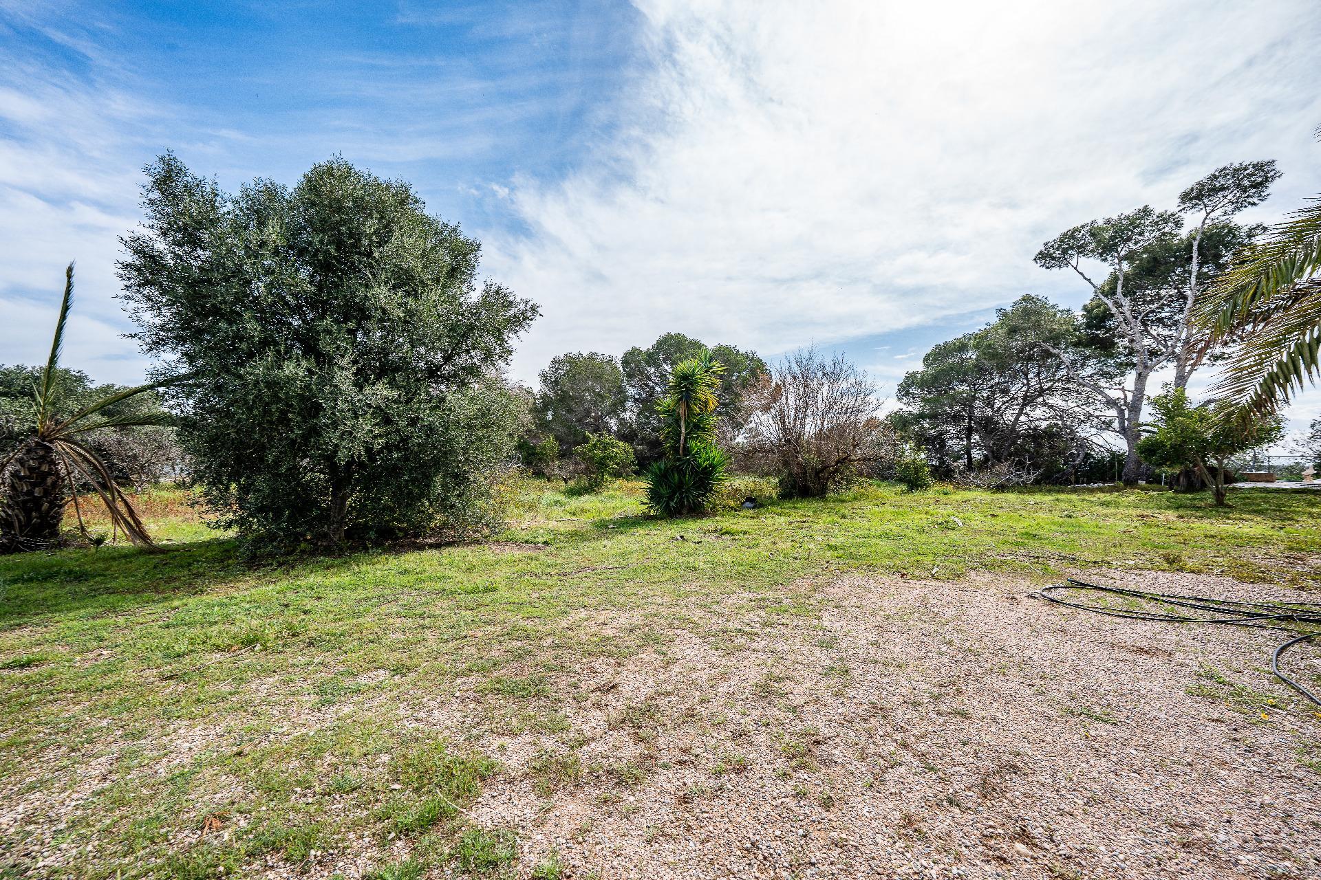 Casas o chalets-Venta-Orihuela-2150816-Foto-32