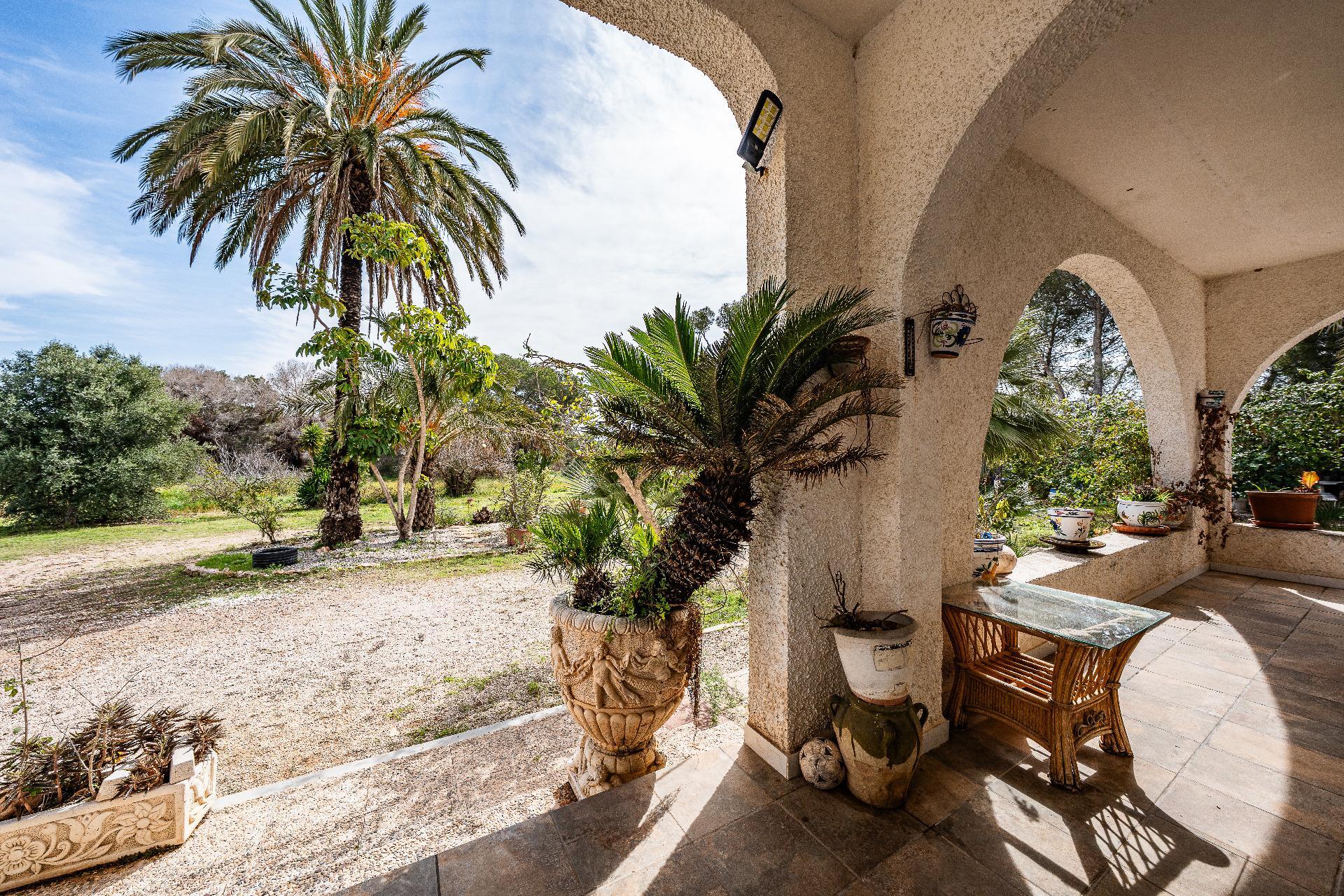 Casas o chalets-Venta-Orihuela-2150816-Foto-37