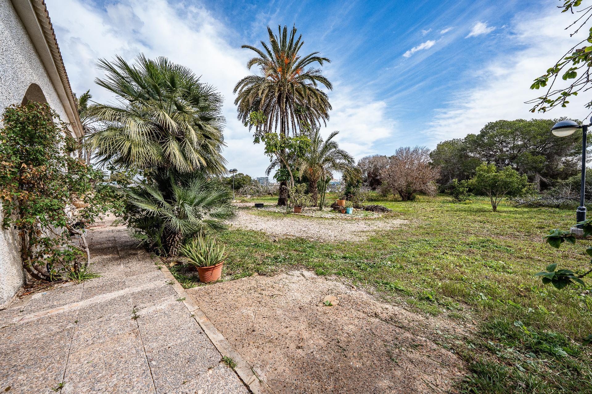 Casas o chalets-Venta-Orihuela-2150816-Foto-42