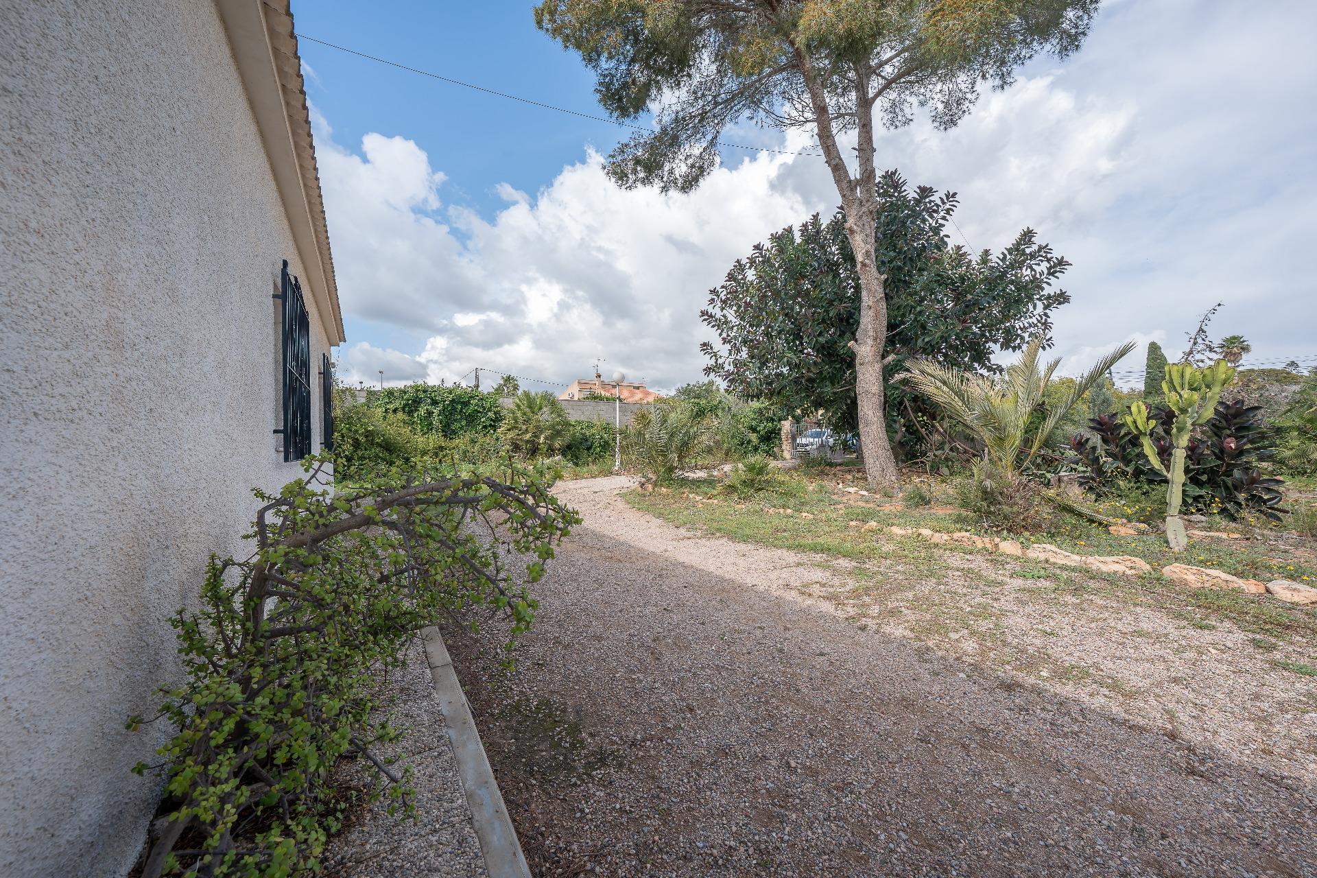 Casas o chalets-Venta-Orihuela-2150816-Foto-55