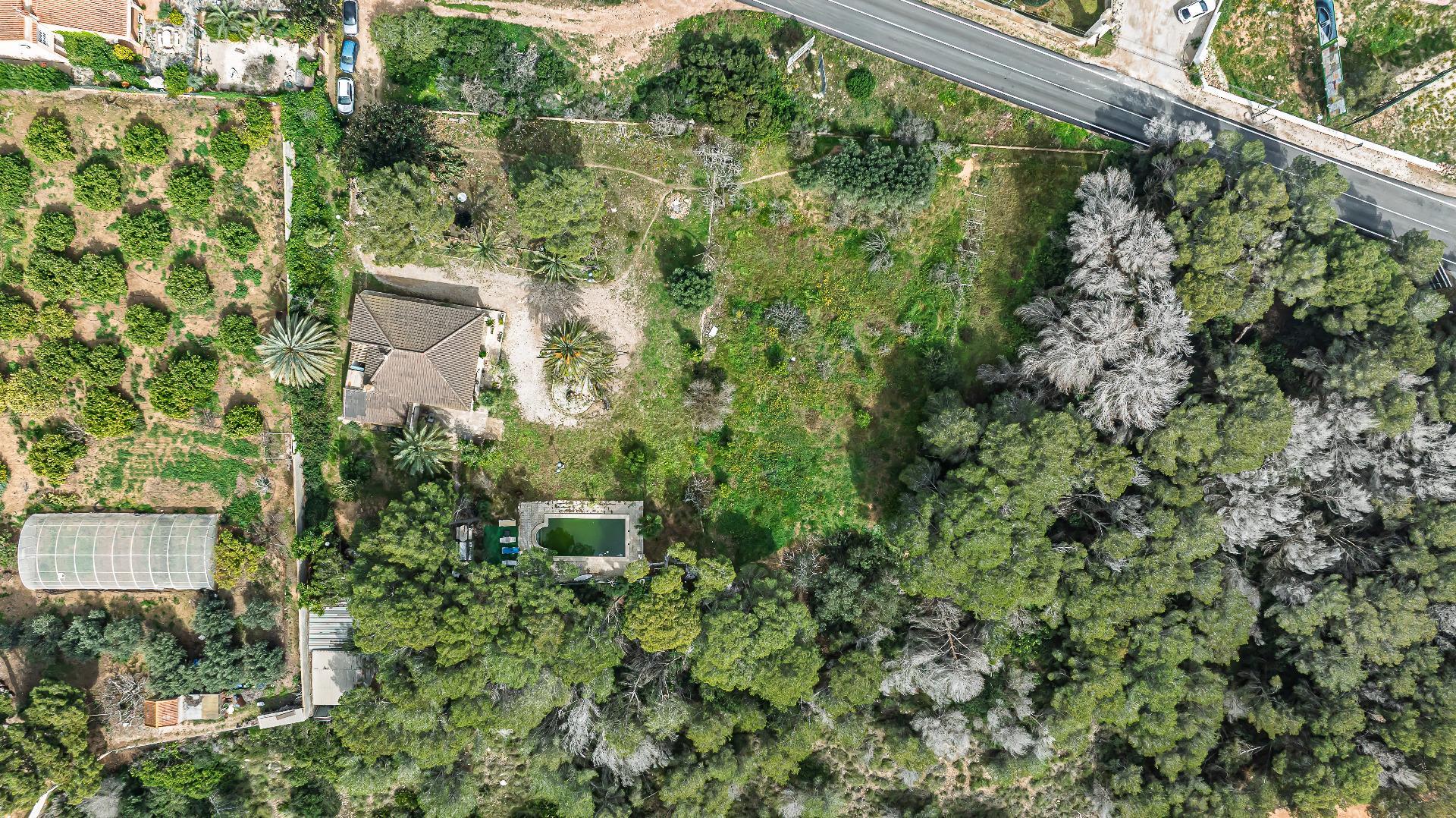 Casas o chalets-Venta-Orihuela-2150816-Foto-63