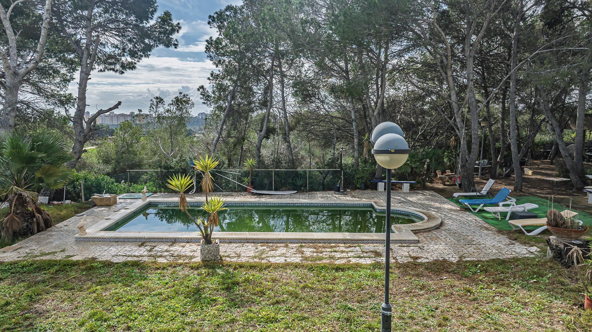 Casas o chalets-Venta-Orihuela-2150816-Foto-65