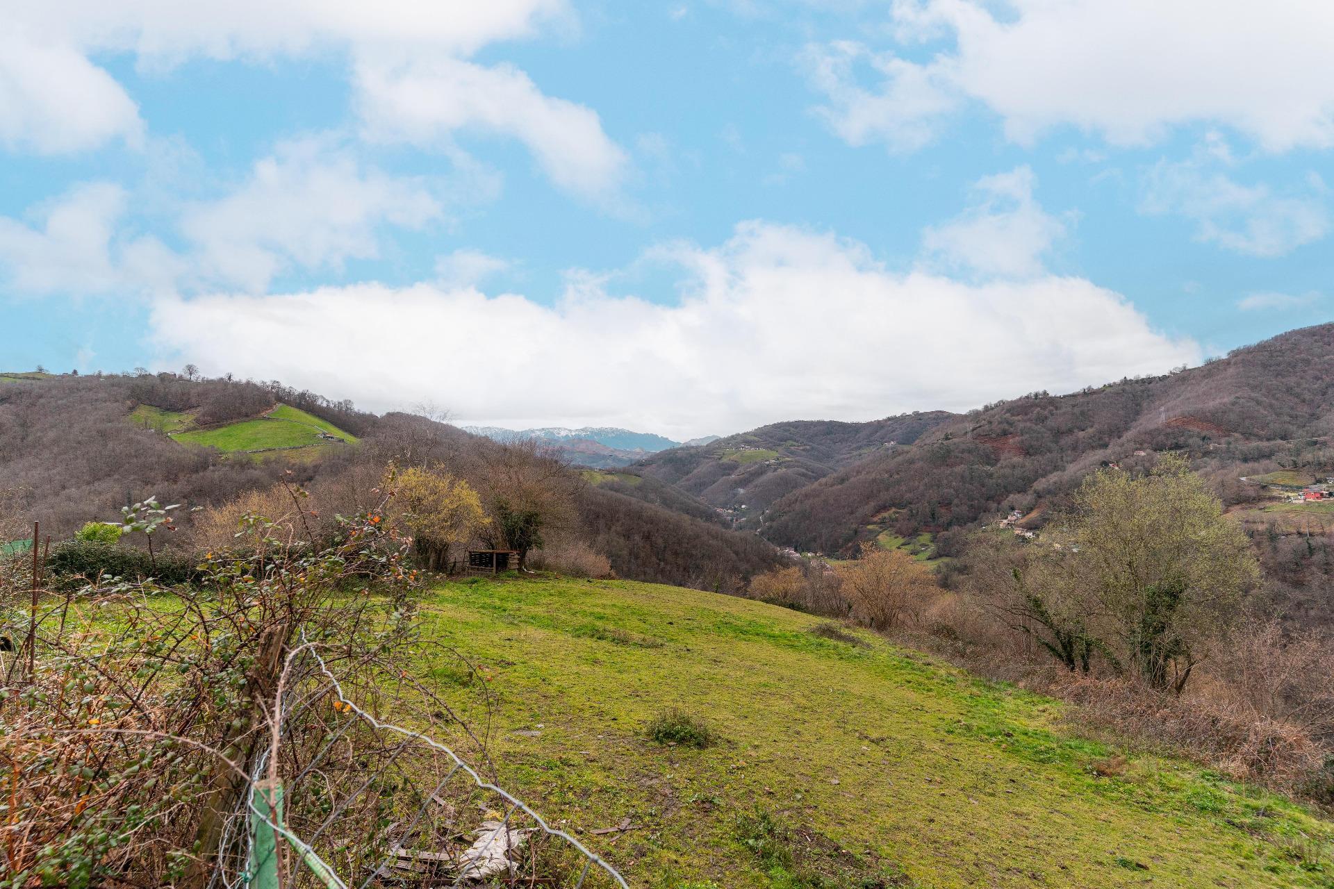 Casas o chalets-Venta-Mieres-2091314-Foto-16