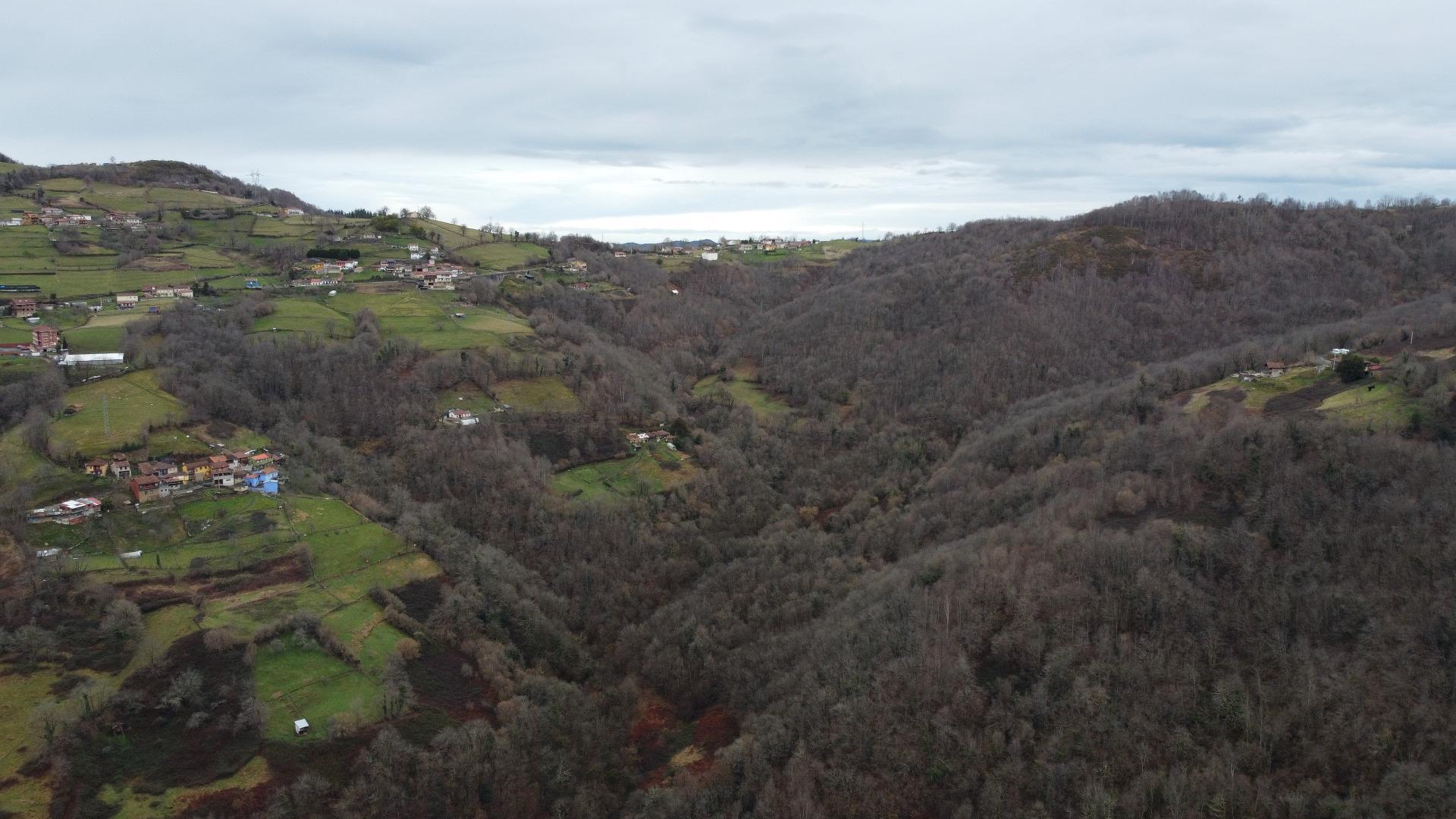 Casas o chalets-Venta-Mieres-2091314-Foto-48