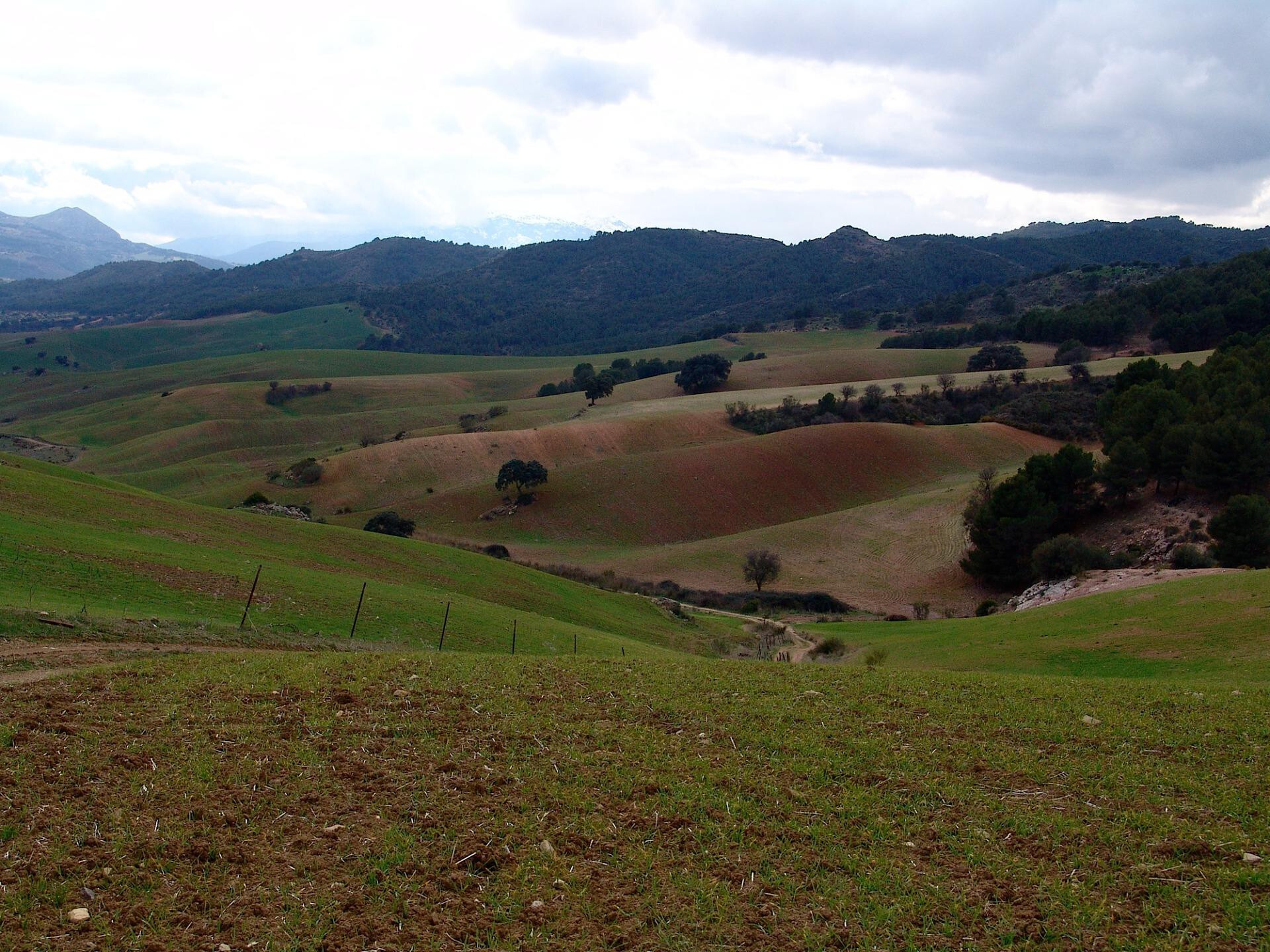 Fincas y solares-Venta-Ardales-1830750-Foto-22