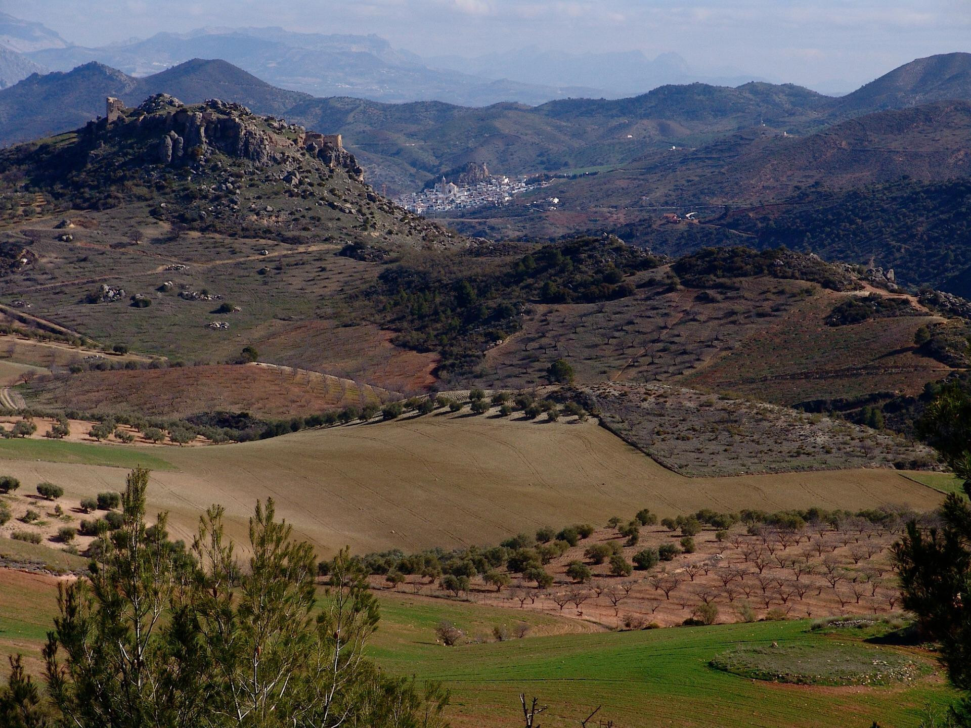 Fincas y solares-Venta-Ardales-1830750-Foto-20