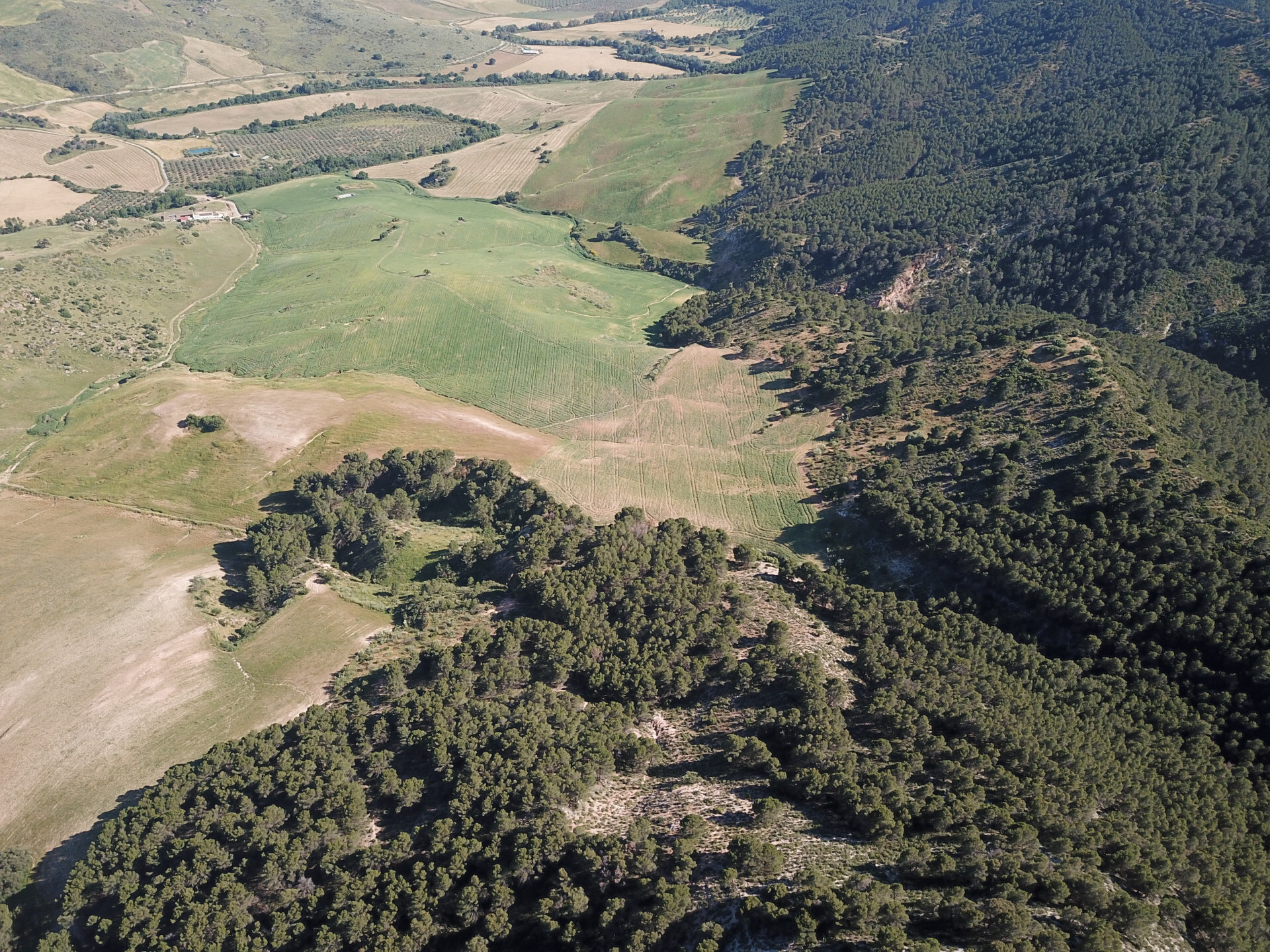 Fincas y solares-Venta-Ardales-1830750-Foto-57