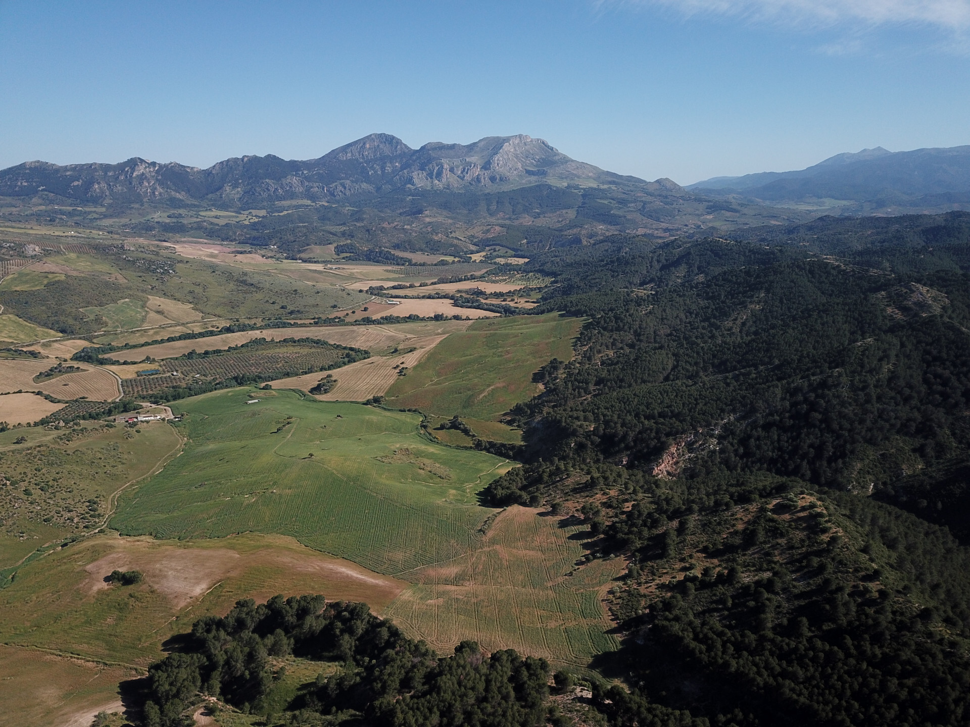 Fincas y solares-Venta-Ardales-1830750-Foto-56