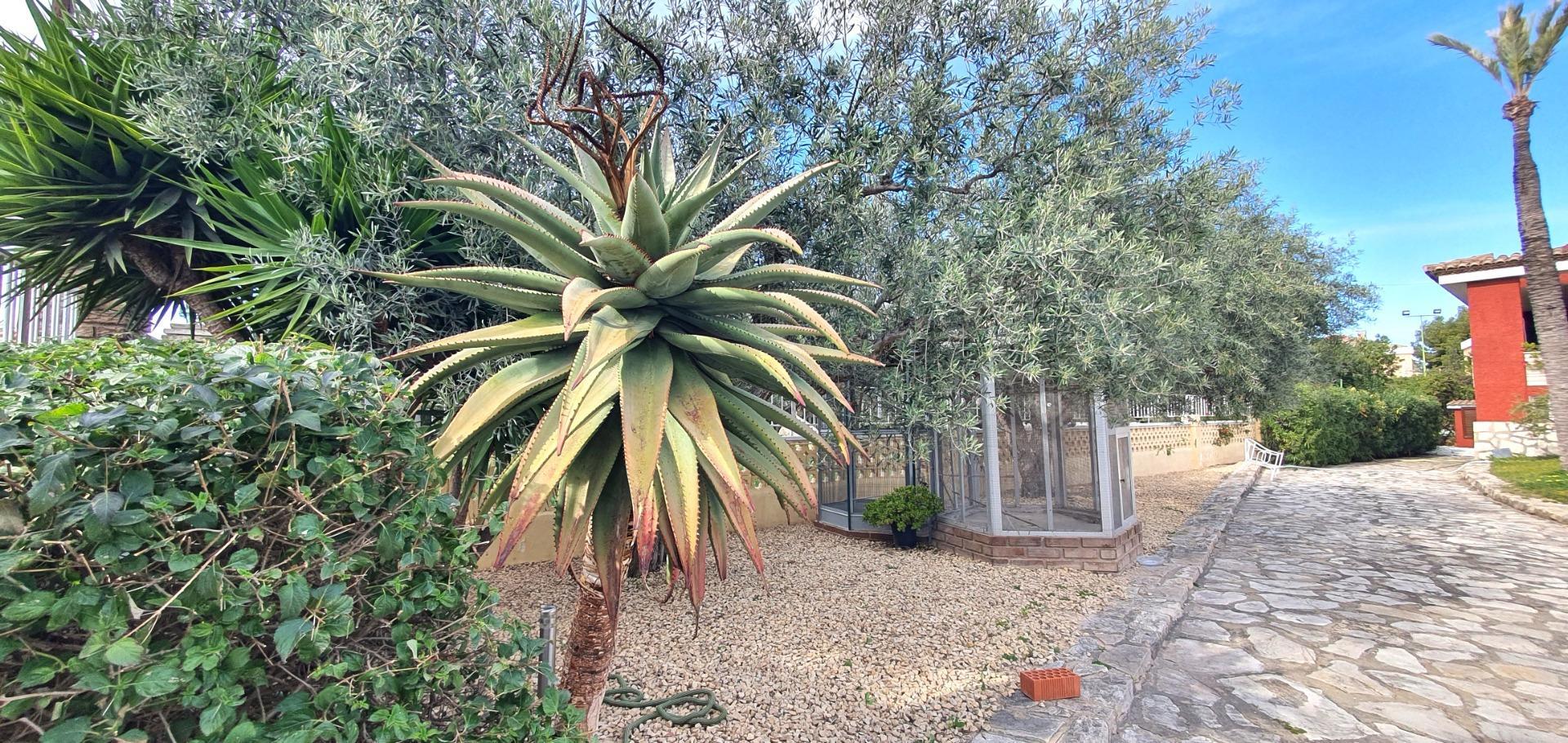 Casas o chalets-Venta-Sant Joan d