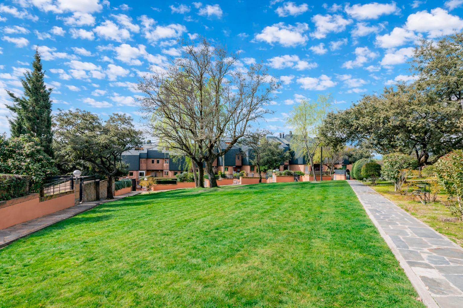 Casas o chalets-Venta-Las Rozas de Madrid-2151324-Foto-6