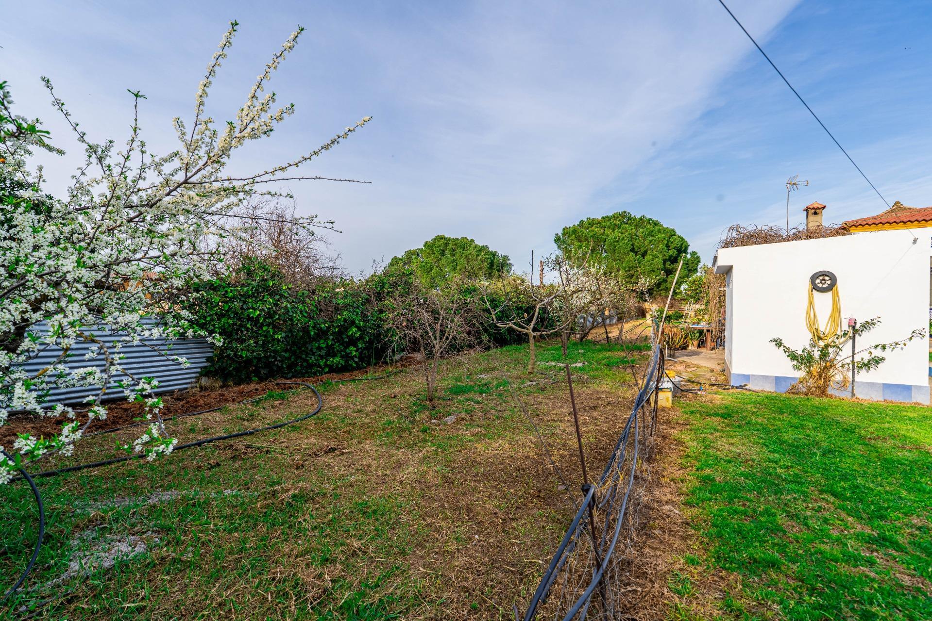 Casas o chalets-Venta-SanlÃºcar la Mayor-2151798-Foto-50