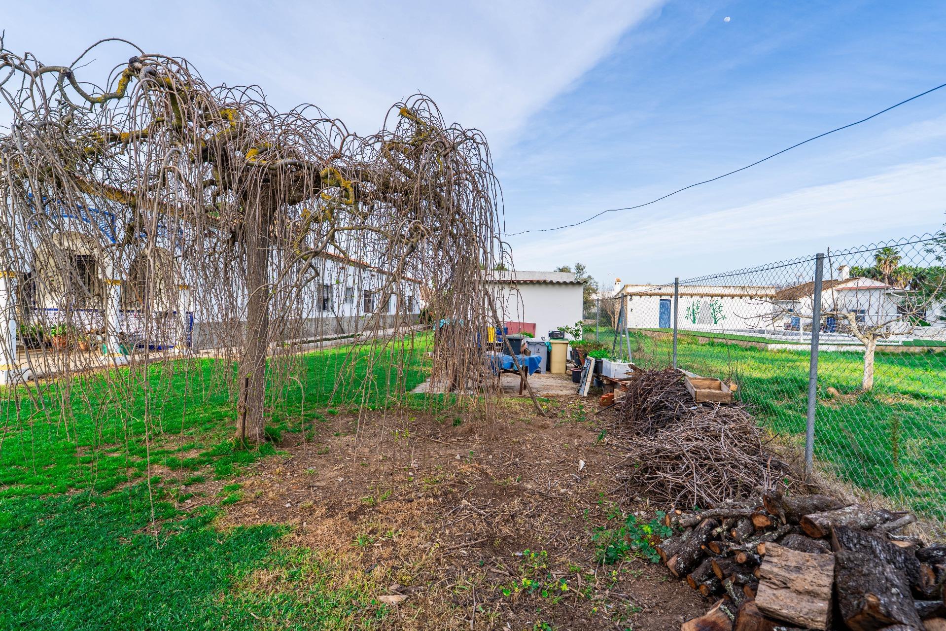 Casas o chalets-Venta-SanlÃºcar la Mayor-2151798-Foto-55