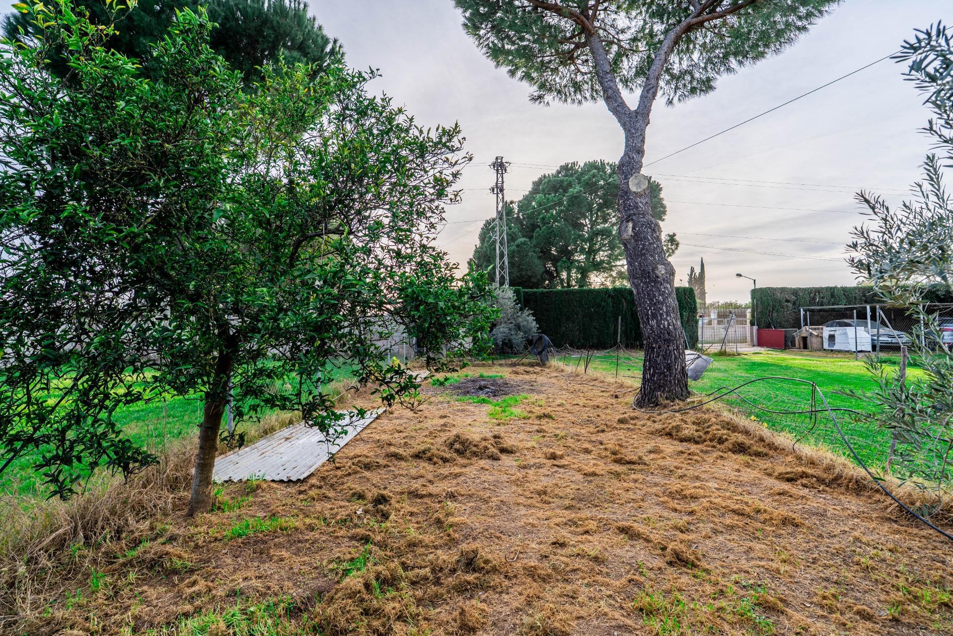 Casas o chalets-Venta-SanlÃºcar la Mayor-2151798-Foto-54