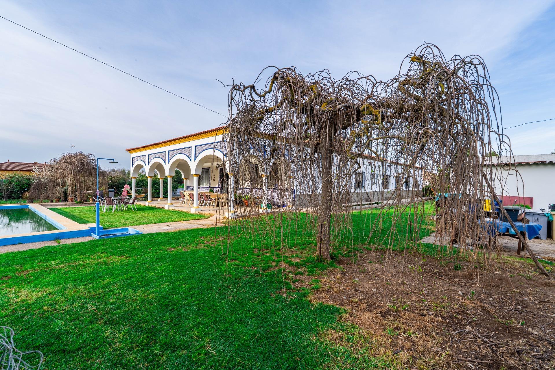 Casas o chalets-Venta-SanlÃºcar la Mayor-2151798-Foto-56