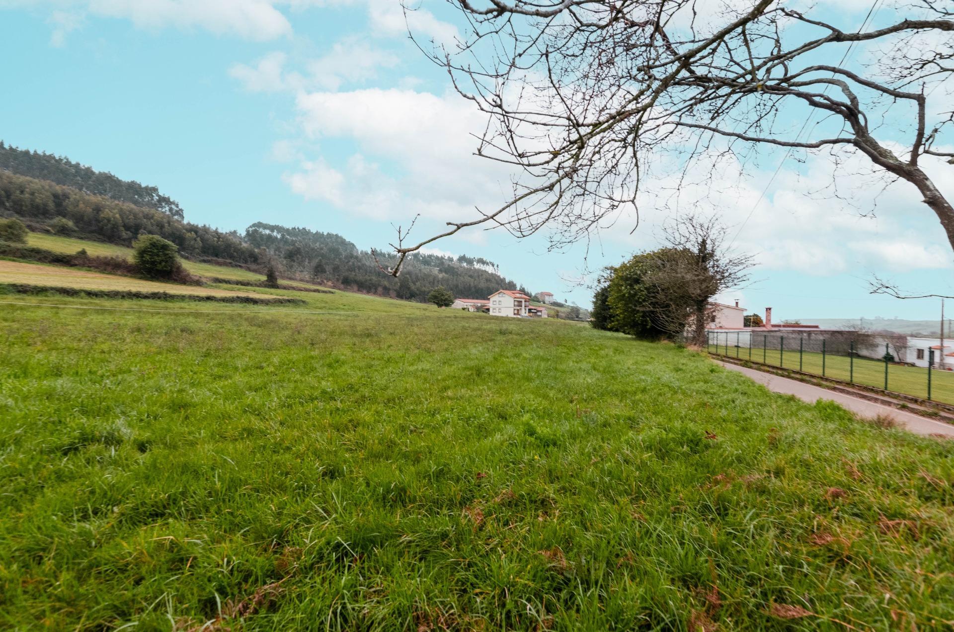 Fincas y solares-Venta-GozÃ³n-2150831-Foto-31