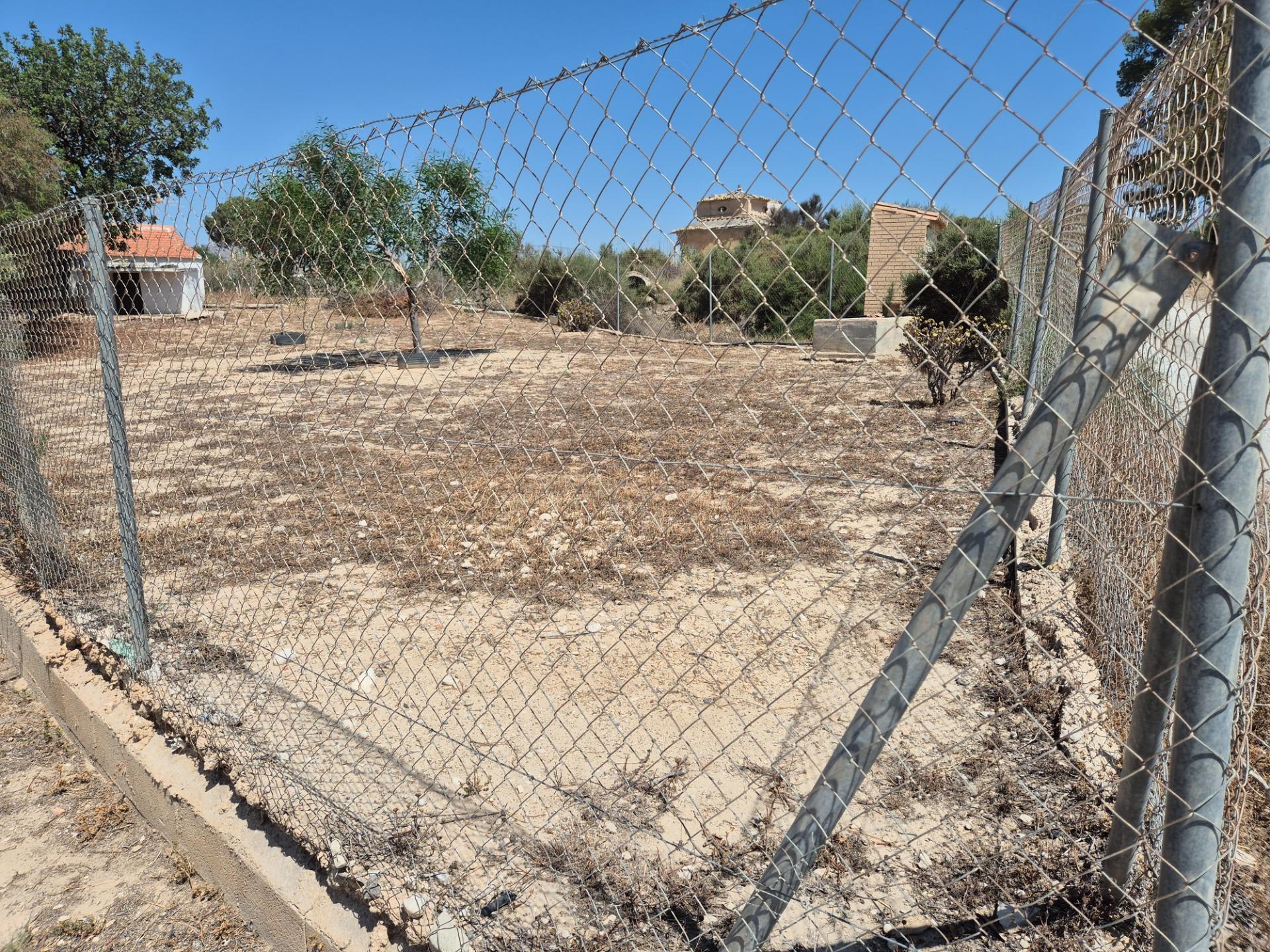 Pisos-Venta-Aspe-1506621-Foto-25