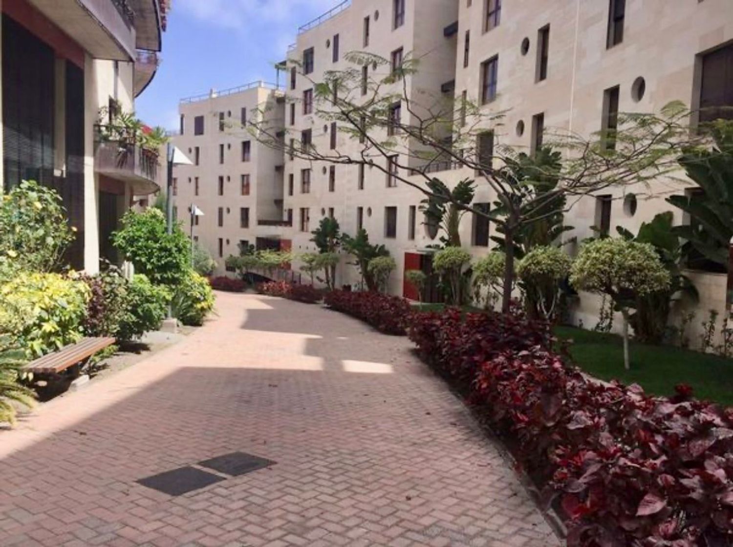 Pisos-Venta-Las Palmas de Gran Canaria-2151753-Foto-26