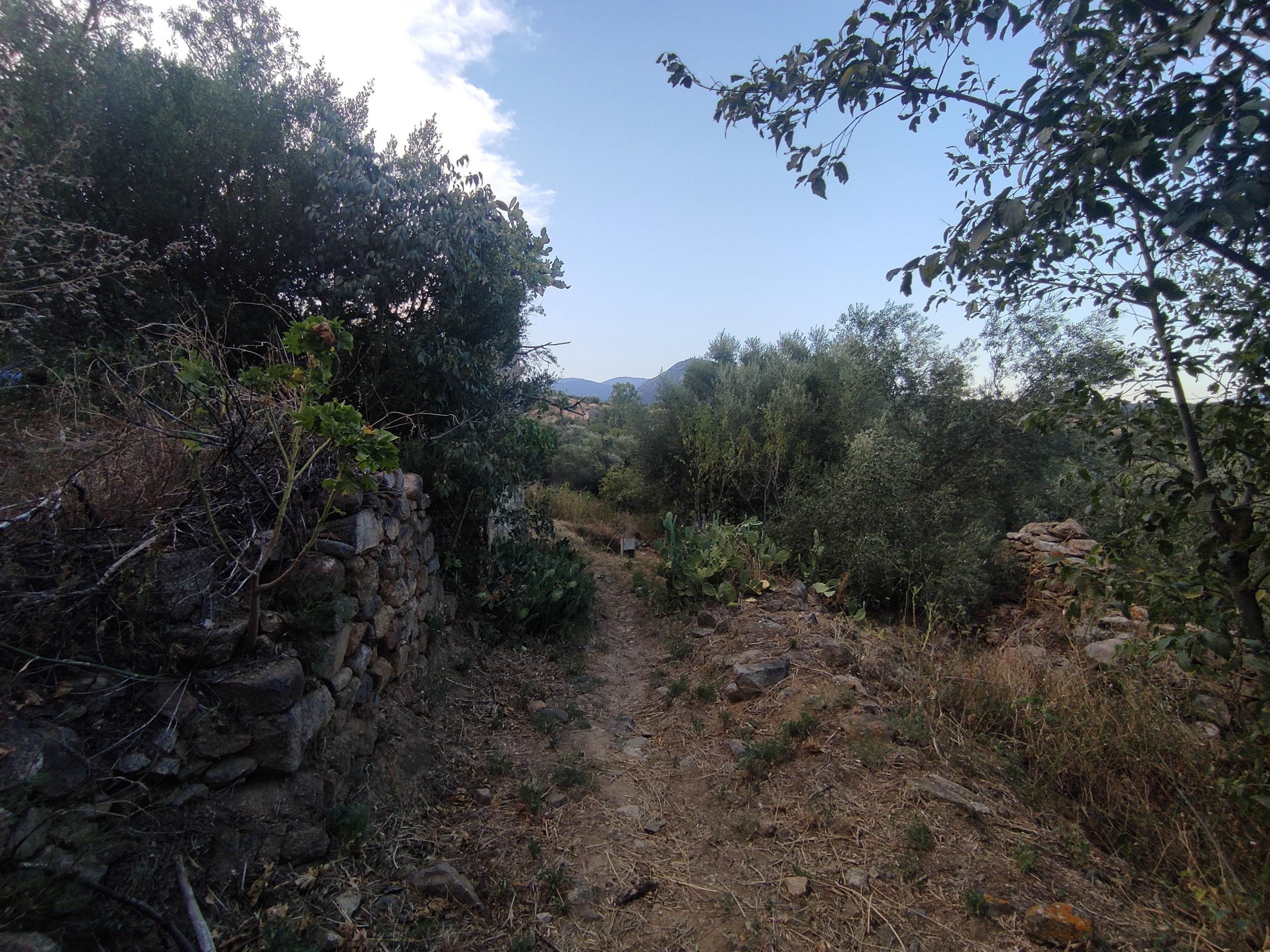 Casas o chalets-Venta-Sant Climent Sescebes-1765637-Foto-4