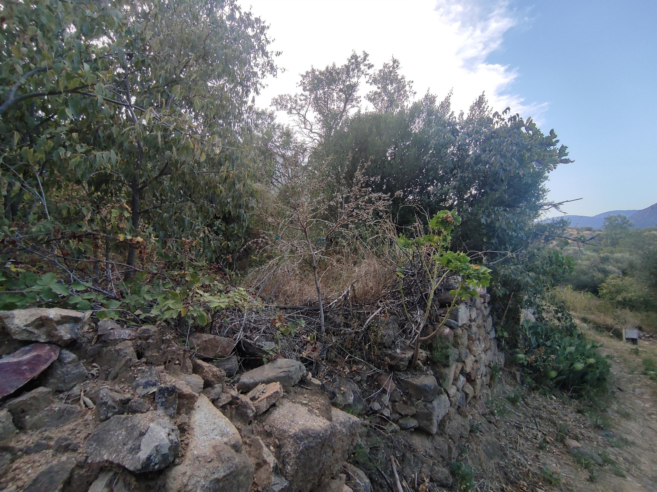 Casas o chalets-Venta-Sant Climent Sescebes-1765637-Foto-5