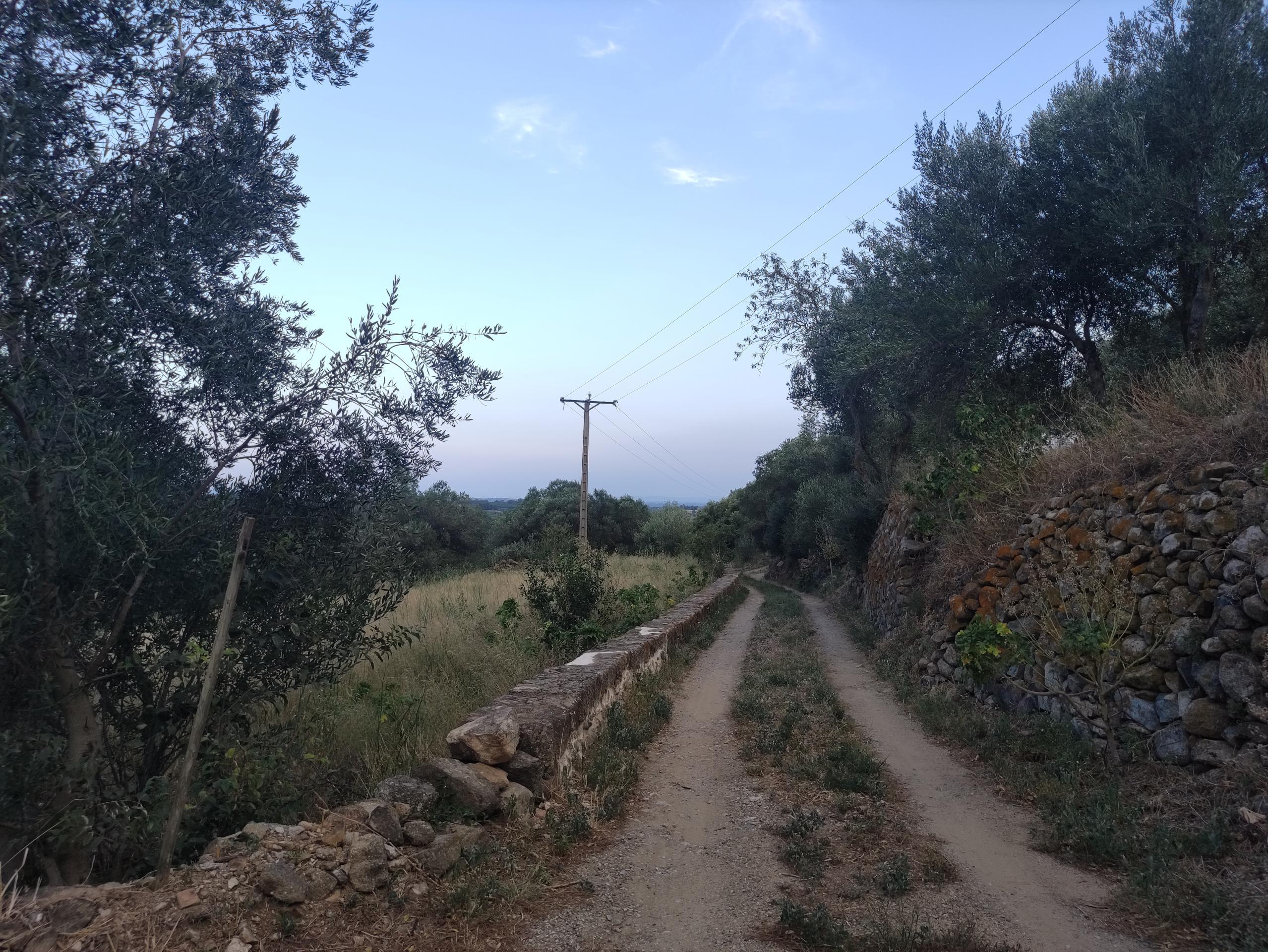 Casas o chalets-Venta-Sant Climent Sescebes-1765637-Foto-10