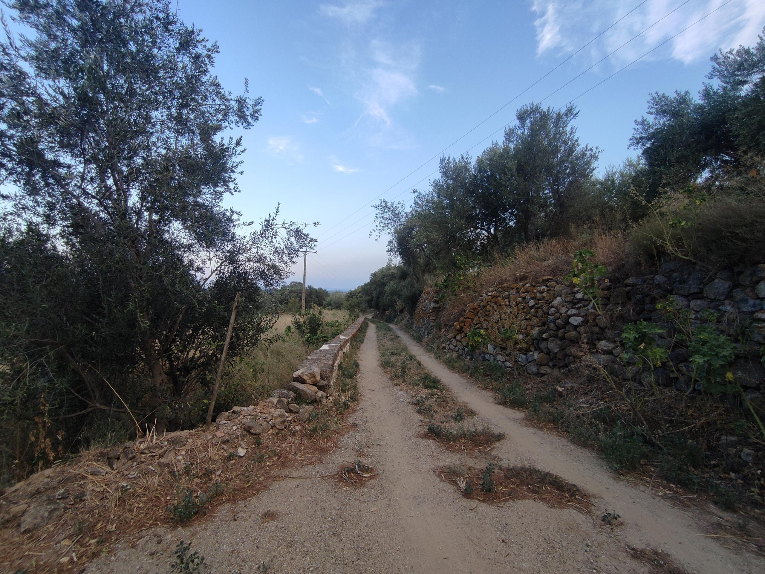 Casas o chalets-Venta-Sant Climent Sescebes-1765637-Foto-7