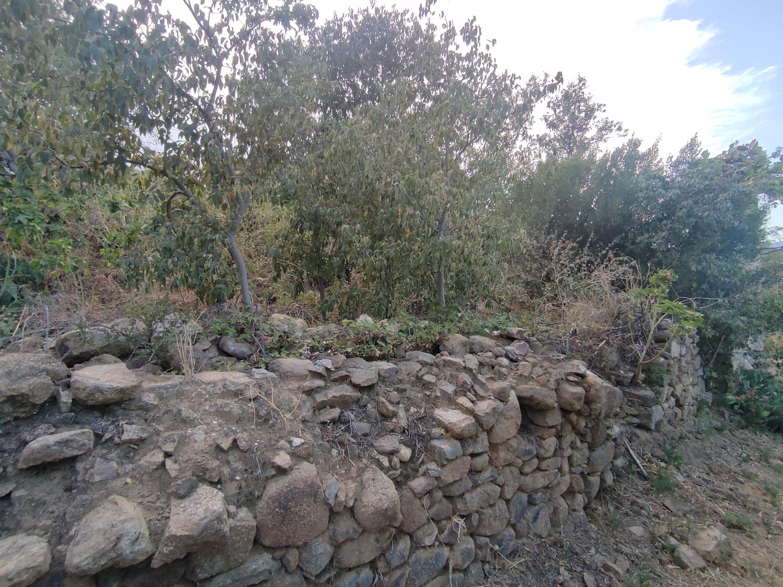 Casas o chalets-Venta-Sant Climent Sescebes-1765637-Foto-13