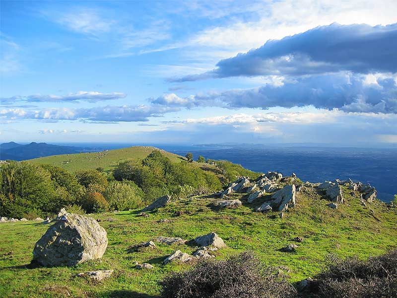 Casas o chalets-Venta-Sant Climent Sescebes-1765637-Foto-19