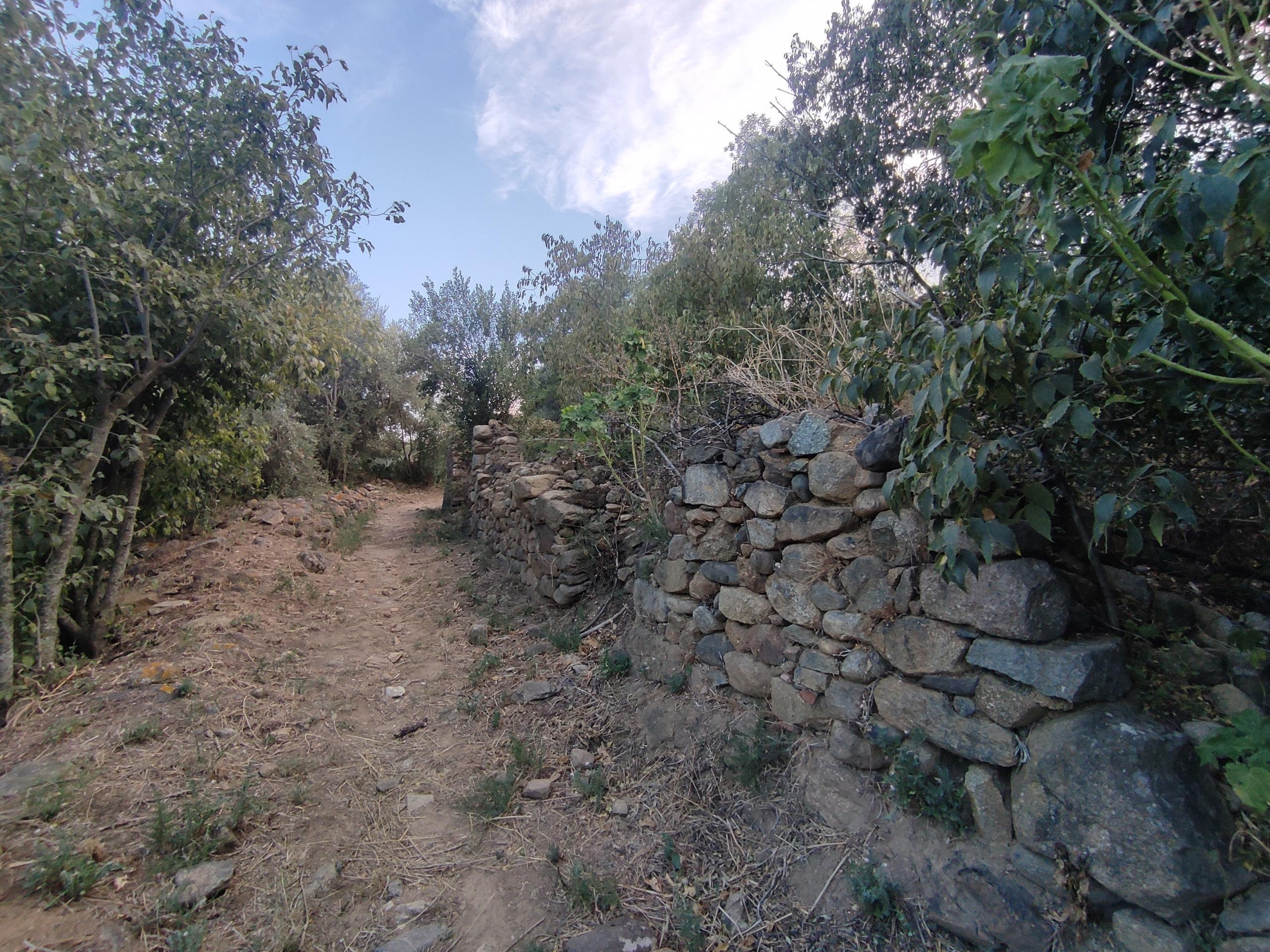 Casas o chalets-Venta-Sant Climent Sescebes-1765637-Foto-16