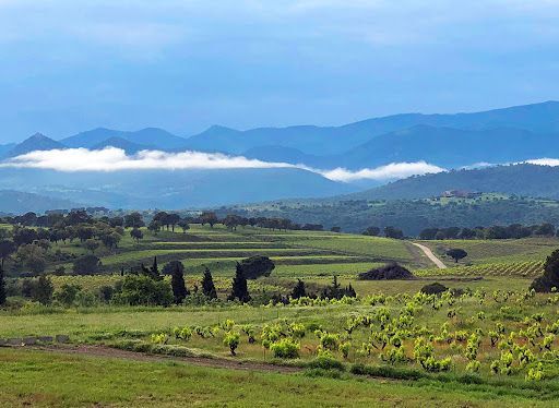 Casas o chalets-Venta-Sant Climent Sescebes-1765637-Foto-24