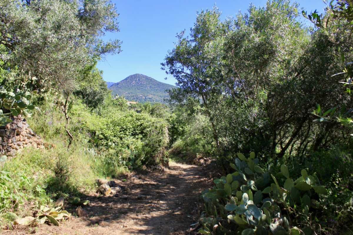 Casas o chalets-Venta-Sant Climent Sescebes-1765637-Foto-22