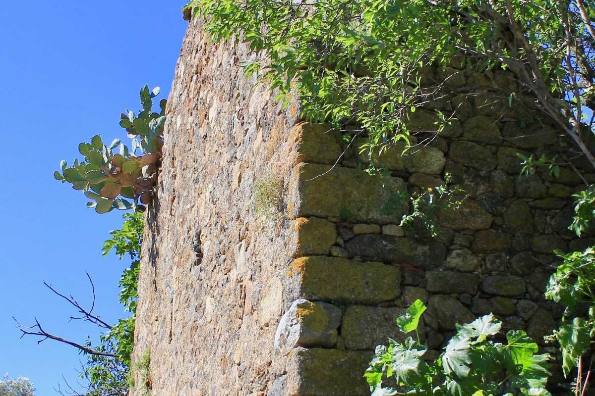 Casas o chalets-Venta-Sant Climent Sescebes-1765637-Foto-23