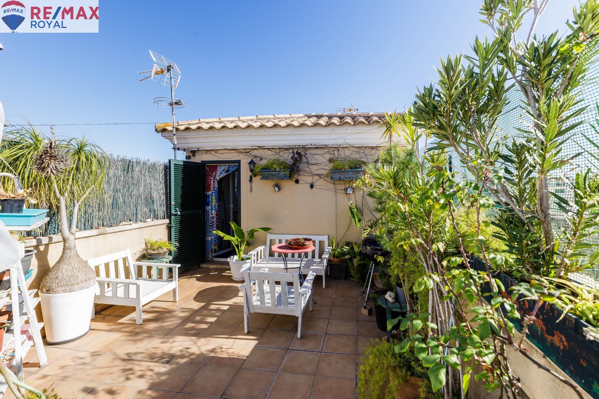 Casas o chalets-Venta-Palma de Mallorca-1052105-Foto-4