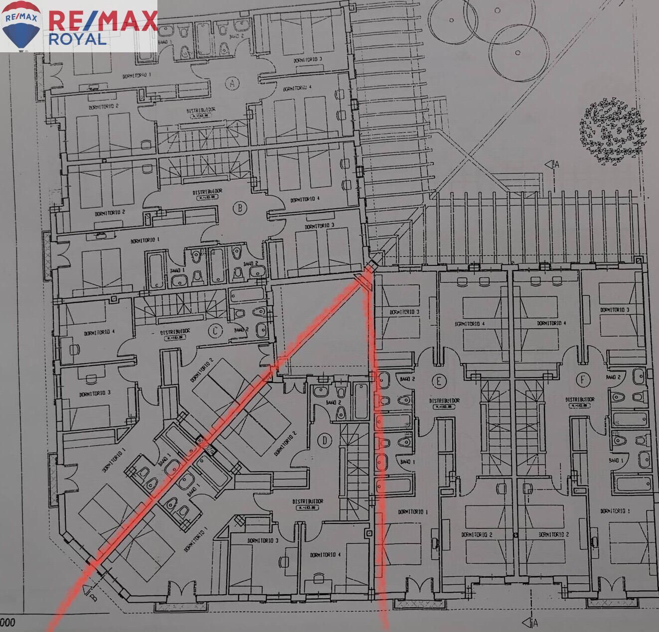 Casas o chalets-Venta-Palma de Mallorca-1052105-Foto-35