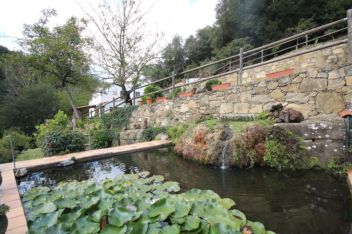 Casas o chalets-Venta-Sant Aniol de Finestres-1893691-Foto-4