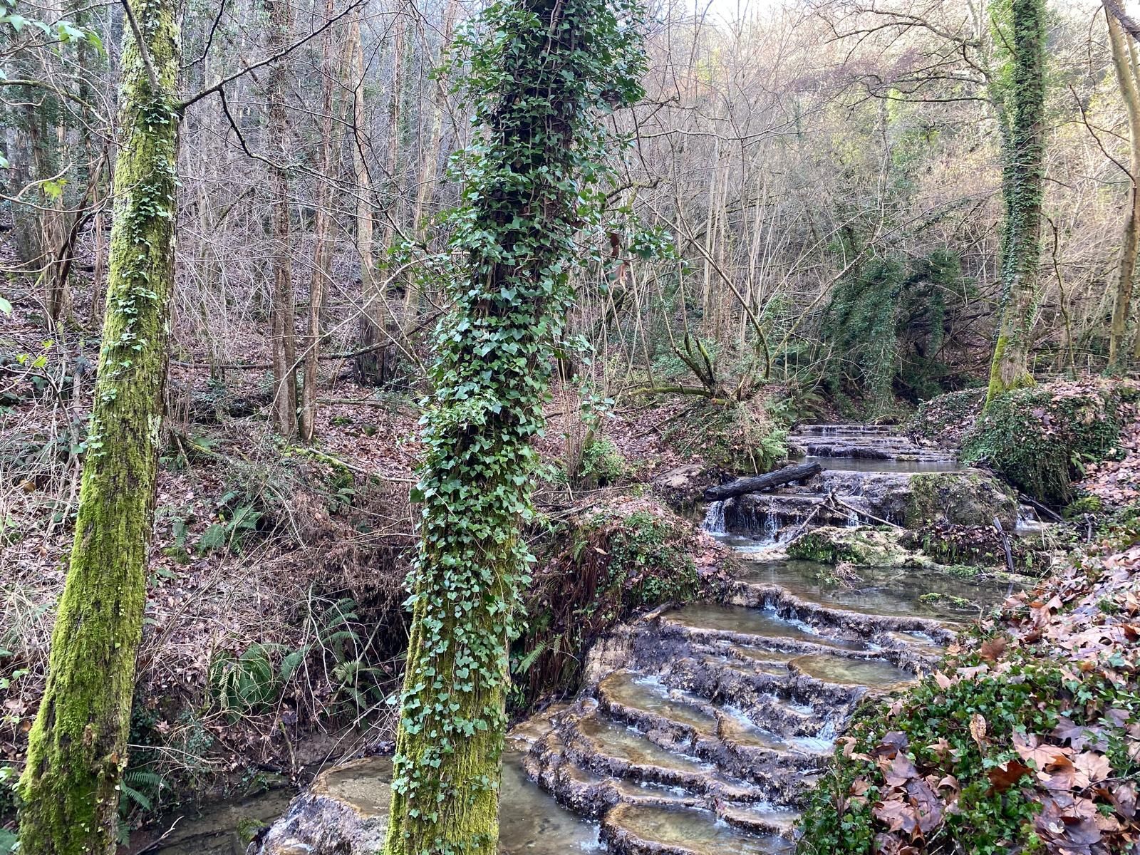 Casas o chalets-Venta-Sant Aniol de Finestres-1893691-Foto-38